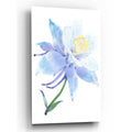 Epic Art 'Columbine Bloom I' by Tim O'Toole, Acrylic Glass Wall Art
