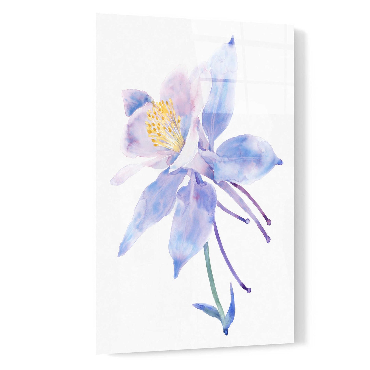 Epic Art 'Columbine Bloom II' by Tim O'Toole, Acrylic Glass Wall Art,16x24