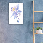 Epic Art 'Columbine Bloom II' by Tim O'Toole, Acrylic Glass Wall Art,16x24