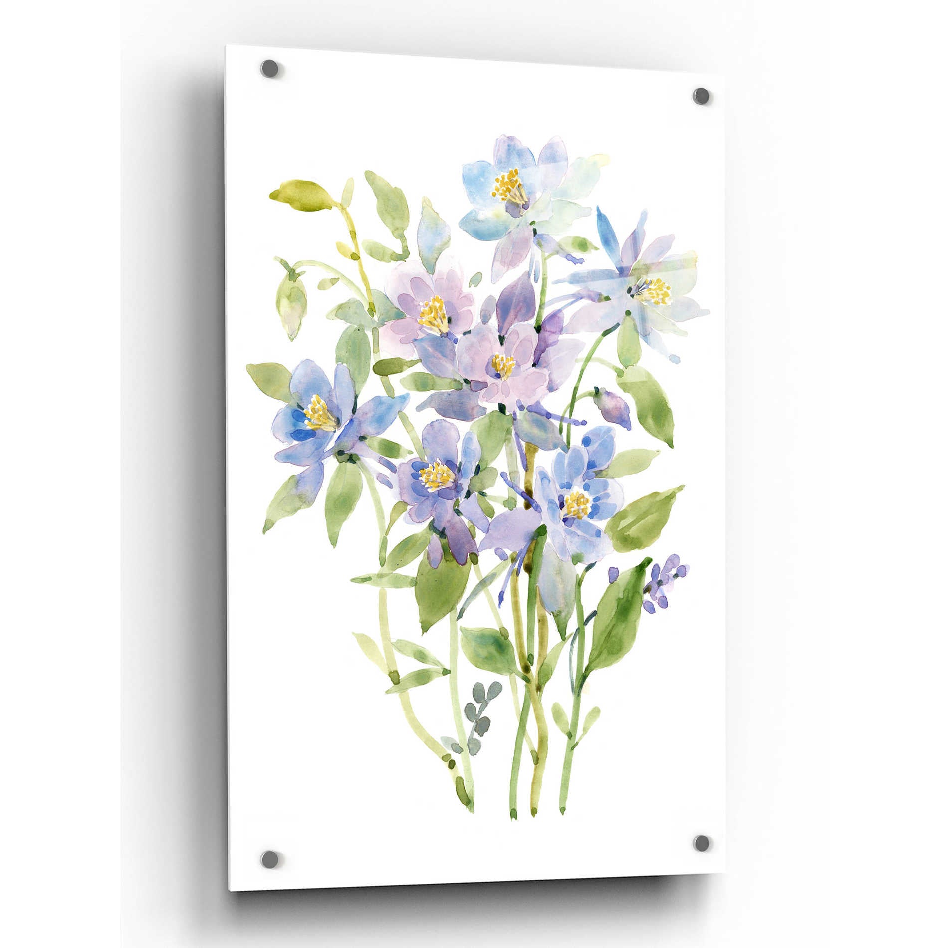 Epic Art 'Columbine Spray II' by Tim O'Toole, Acrylic Glass Wall Art,24x36