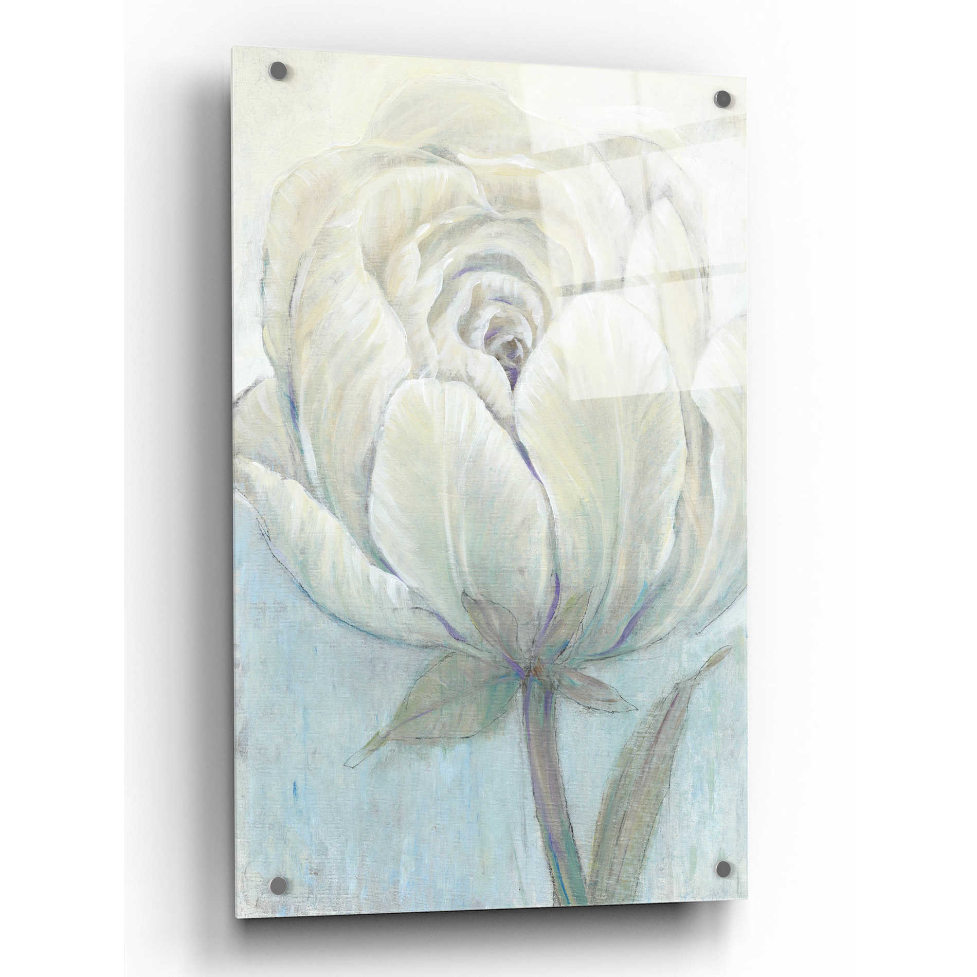 Epic Art 'English Rose I' by Tim O'Toole, Acrylic Glass Wall Art,24x36