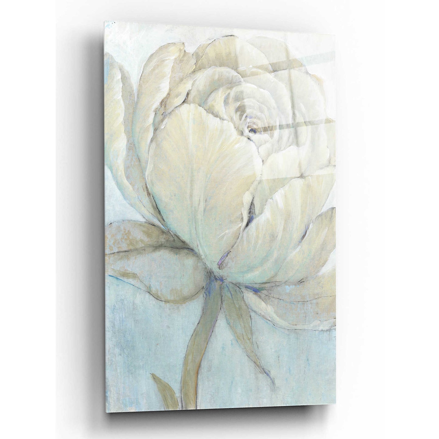 Epic Art 'English Rose II' by Tim O'Toole, Acrylic Glass Wall Art,12x16