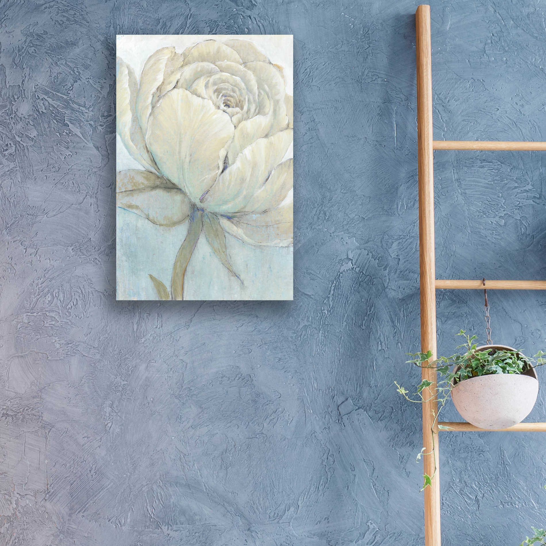 Epic Art 'English Rose II' by Tim O'Toole, Acrylic Glass Wall Art,16x24