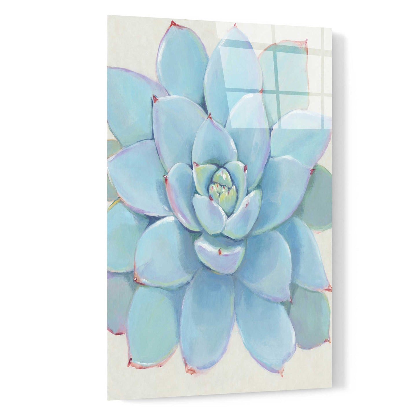 Epic Art 'Pastel Succulent I' by Tim O'Toole, Acrylic Glass Wall Art,16x24