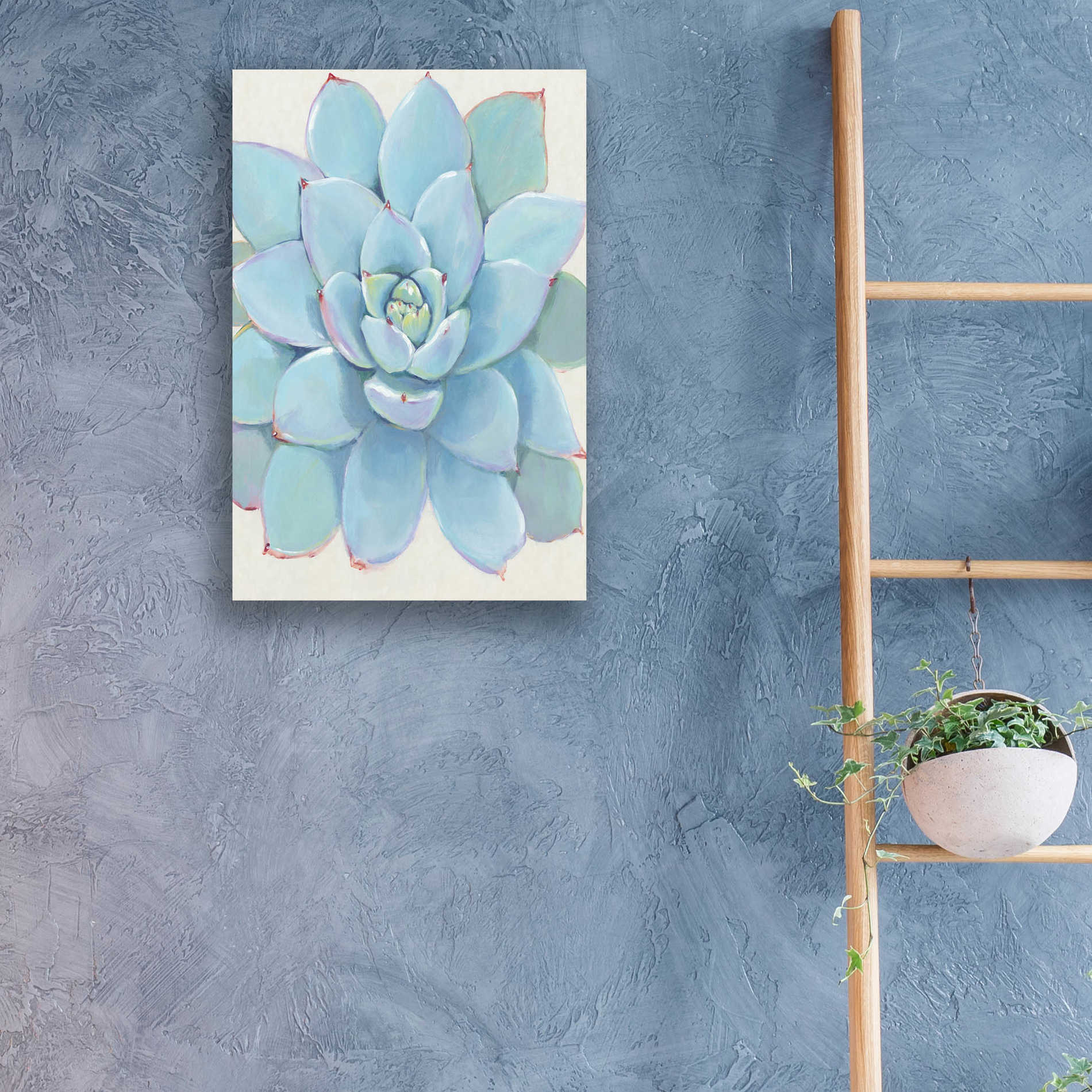 Epic Art 'Pastel Succulent I' by Tim O'Toole, Acrylic Glass Wall Art,16x24