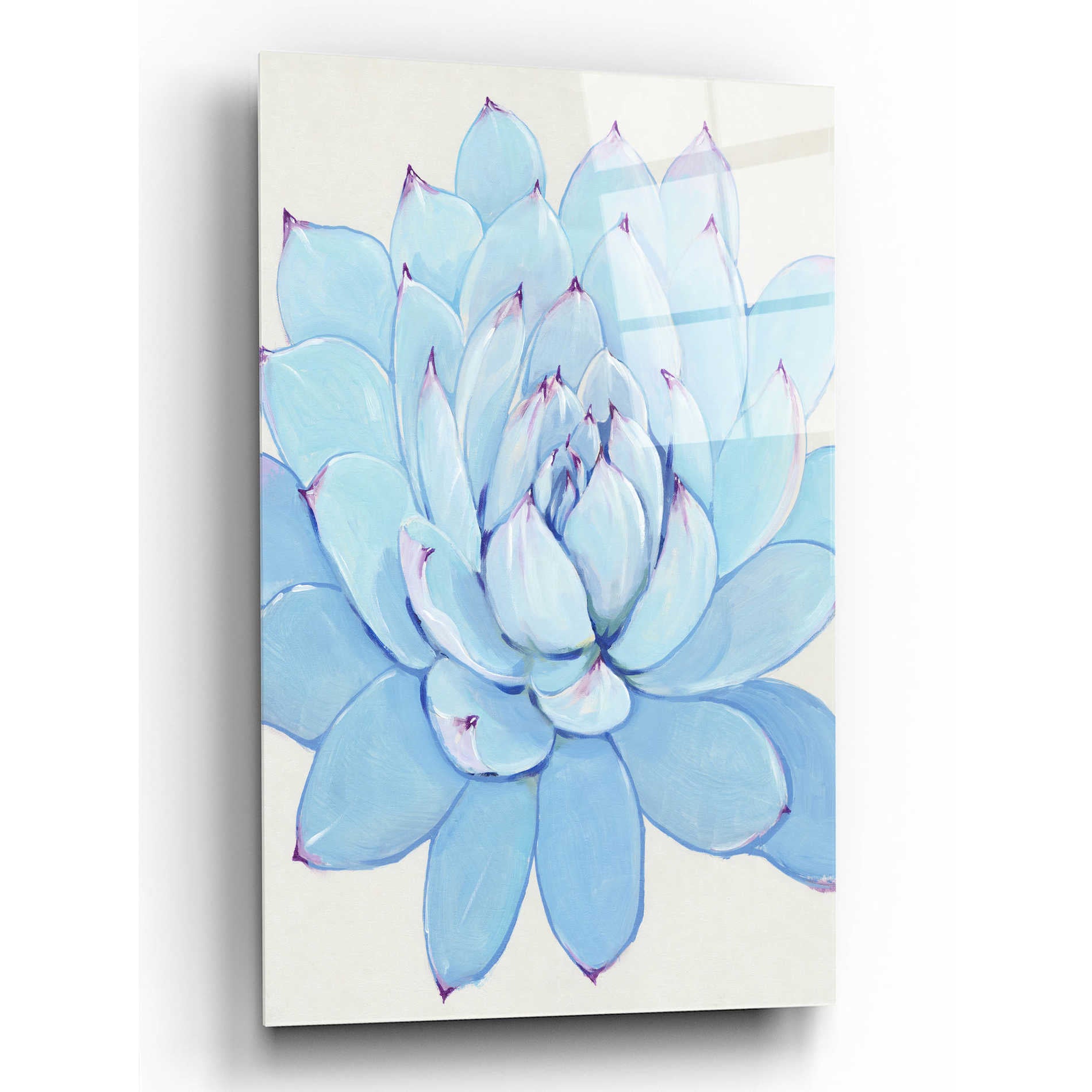 Epic Art 'Pastel Succulent II' by Tim O'Toole, Acrylic Glass Wall Art,12x16