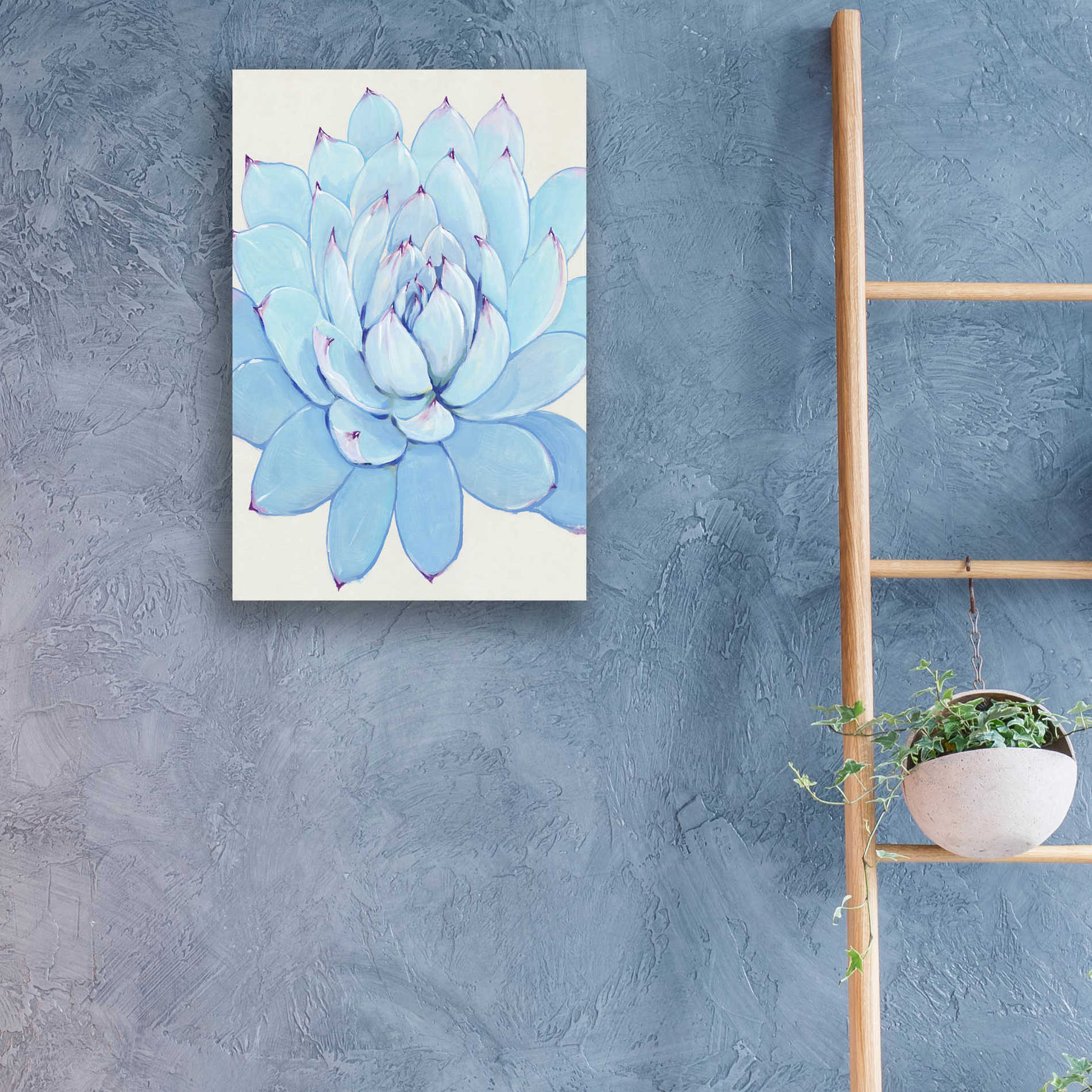 Epic Art 'Pastel Succulent II' by Tim O'Toole, Acrylic Glass Wall Art,16x24