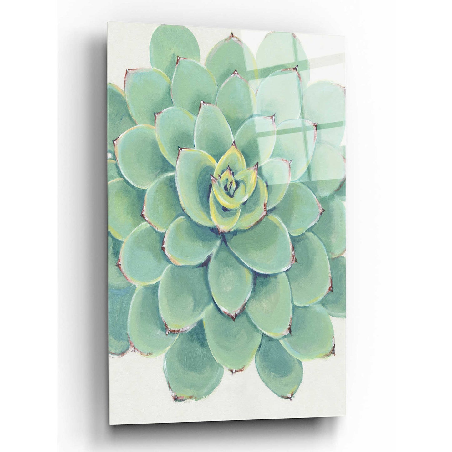 Epic Art 'Pastel Succulent III' by Tim O'Toole, Acrylic Glass Wall Art,12x16