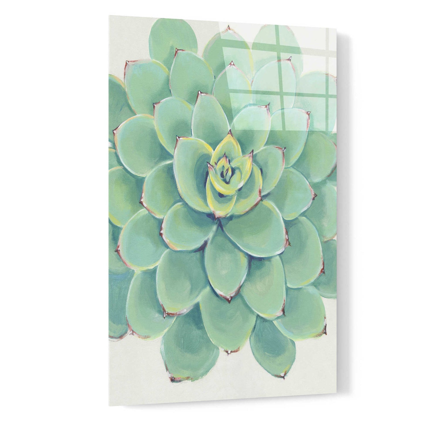 Epic Art 'Pastel Succulent III' by Tim O'Toole, Acrylic Glass Wall Art,16x24