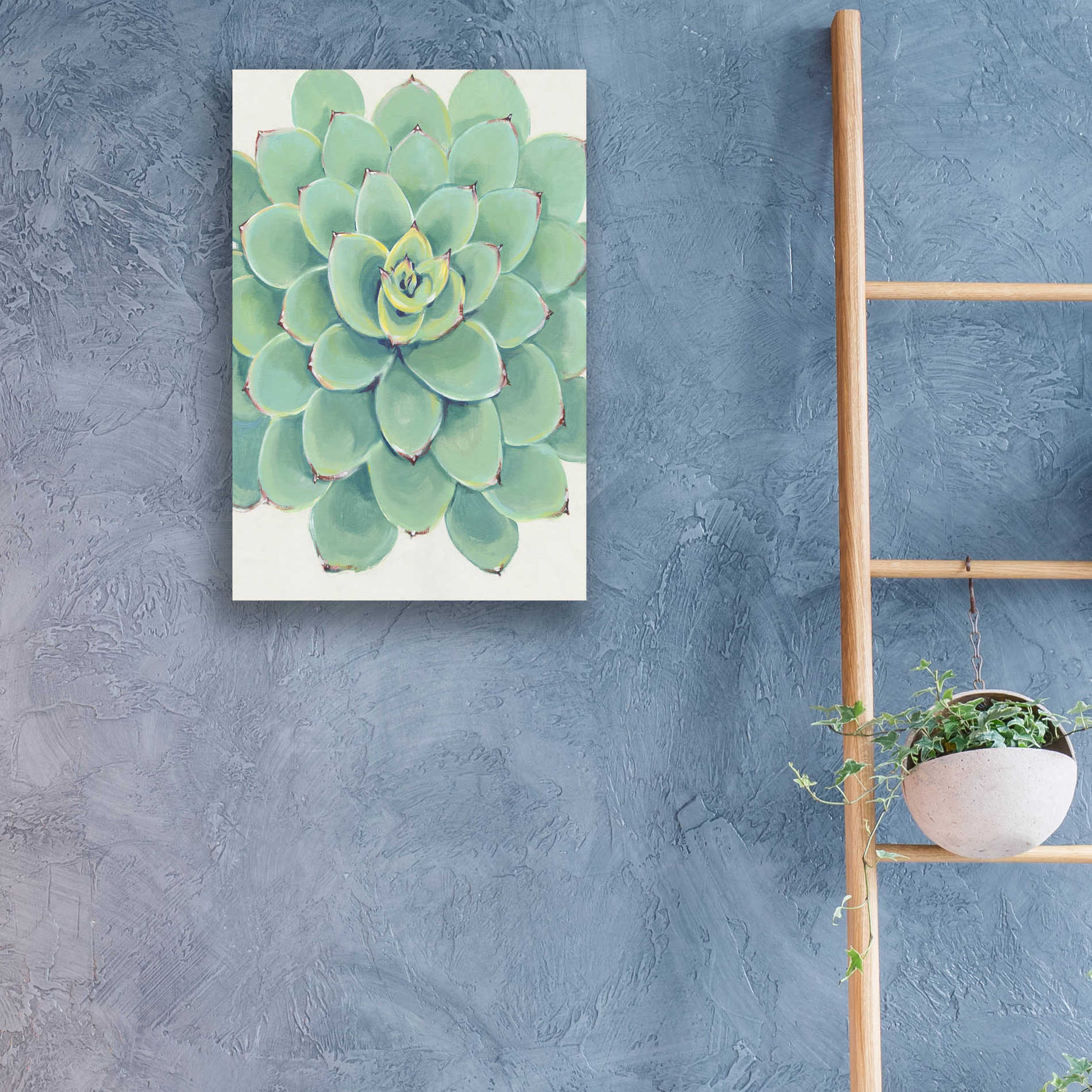 Epic Art 'Pastel Succulent III' by Tim O'Toole, Acrylic Glass Wall Art,16x24