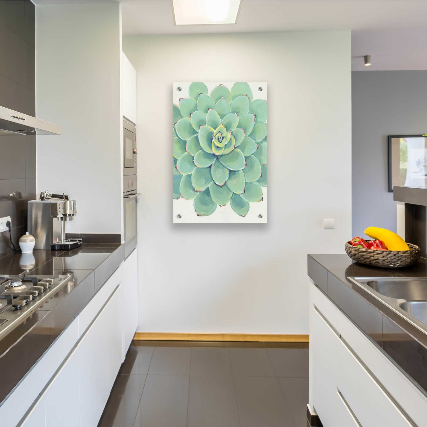 Epic Art 'Pastel Succulent III' by Tim O'Toole, Acrylic Glass Wall Art,24x36