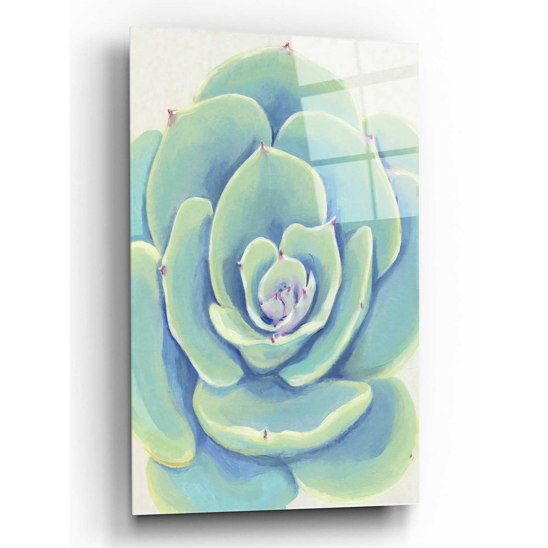 Epic Art 'Pastel Succulent IV' by Tim O'Toole, Acrylic Glass Wall Art,12x16