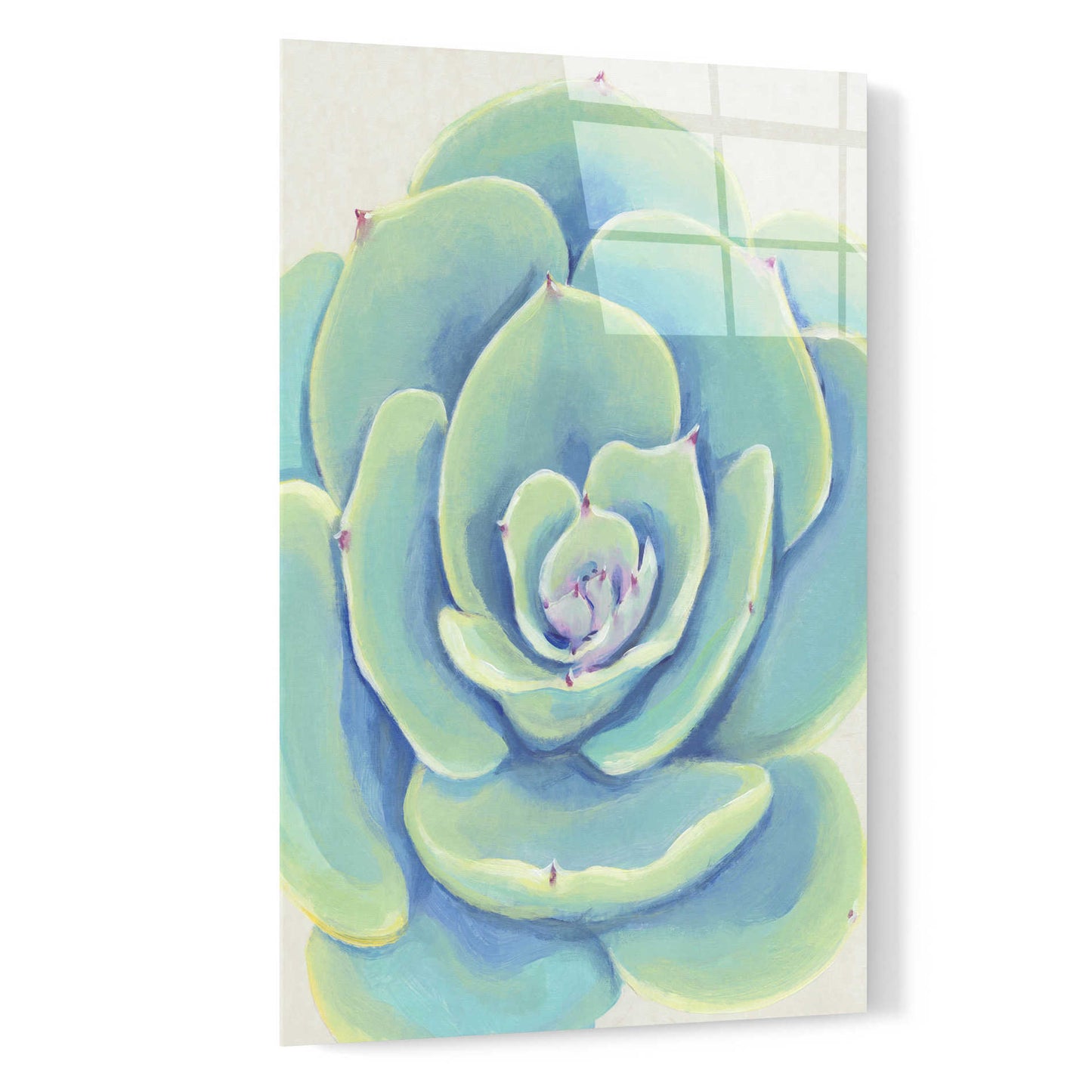 Epic Art 'Pastel Succulent IV' by Tim O'Toole, Acrylic Glass Wall Art,16x24