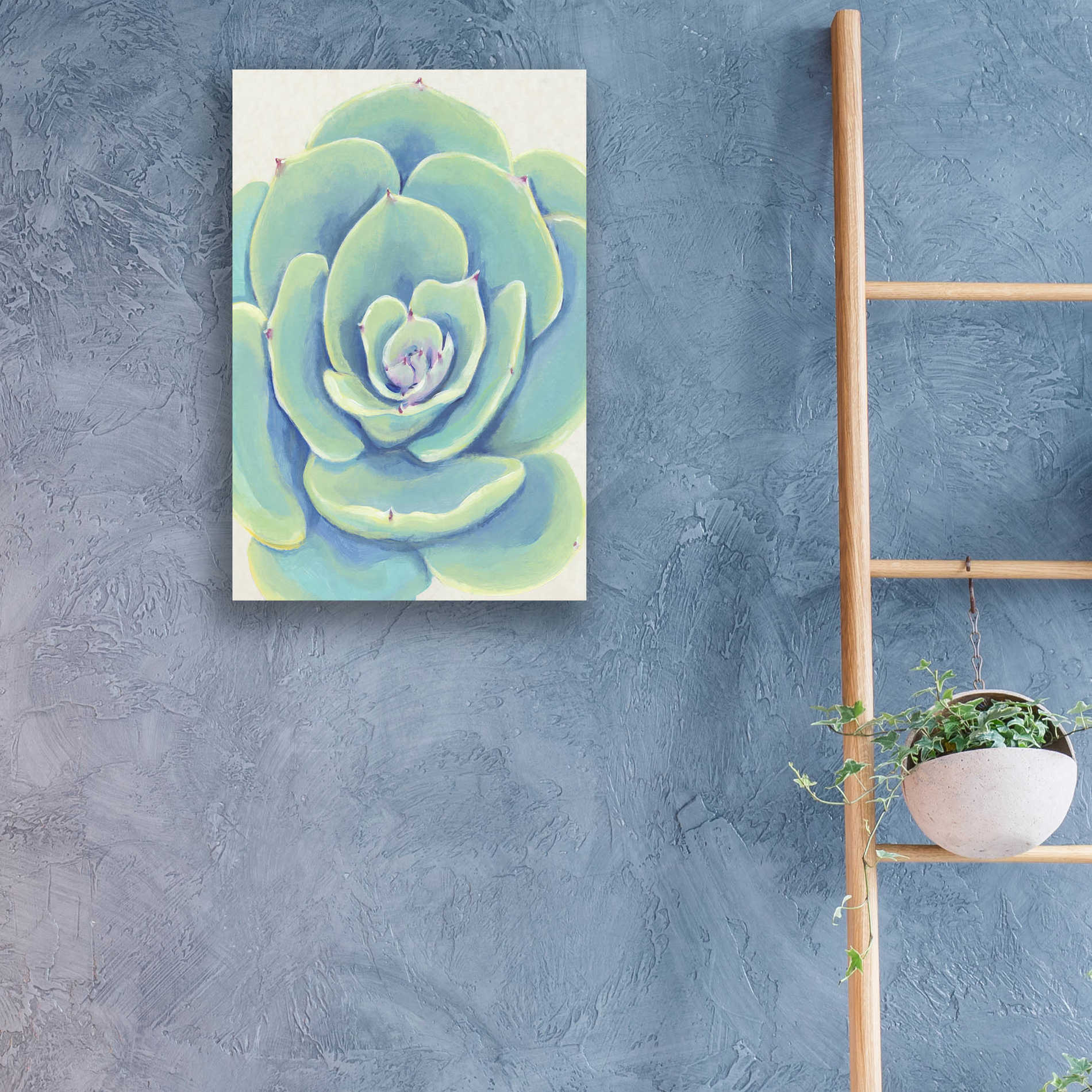 Epic Art 'Pastel Succulent IV' by Tim O'Toole, Acrylic Glass Wall Art,16x24