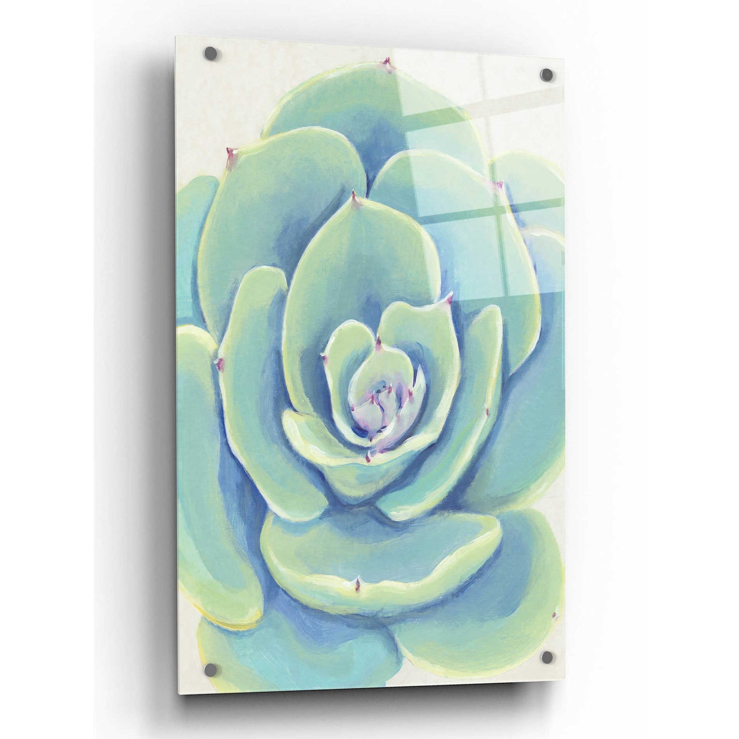 Epic Art 'Pastel Succulent IV' by Tim O'Toole, Acrylic Glass Wall Art,24x36