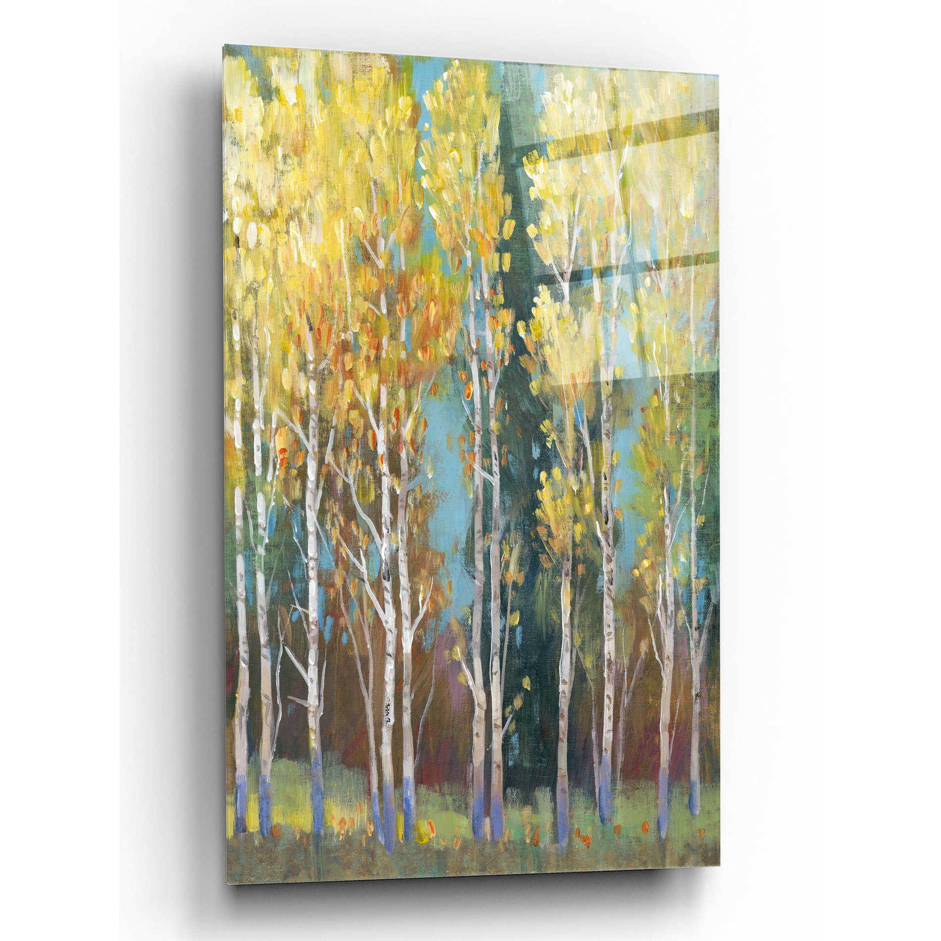 Epic Art 'Aspen Grove I' by Tim O'Toole, Acrylic Glass Wall Art,12x16