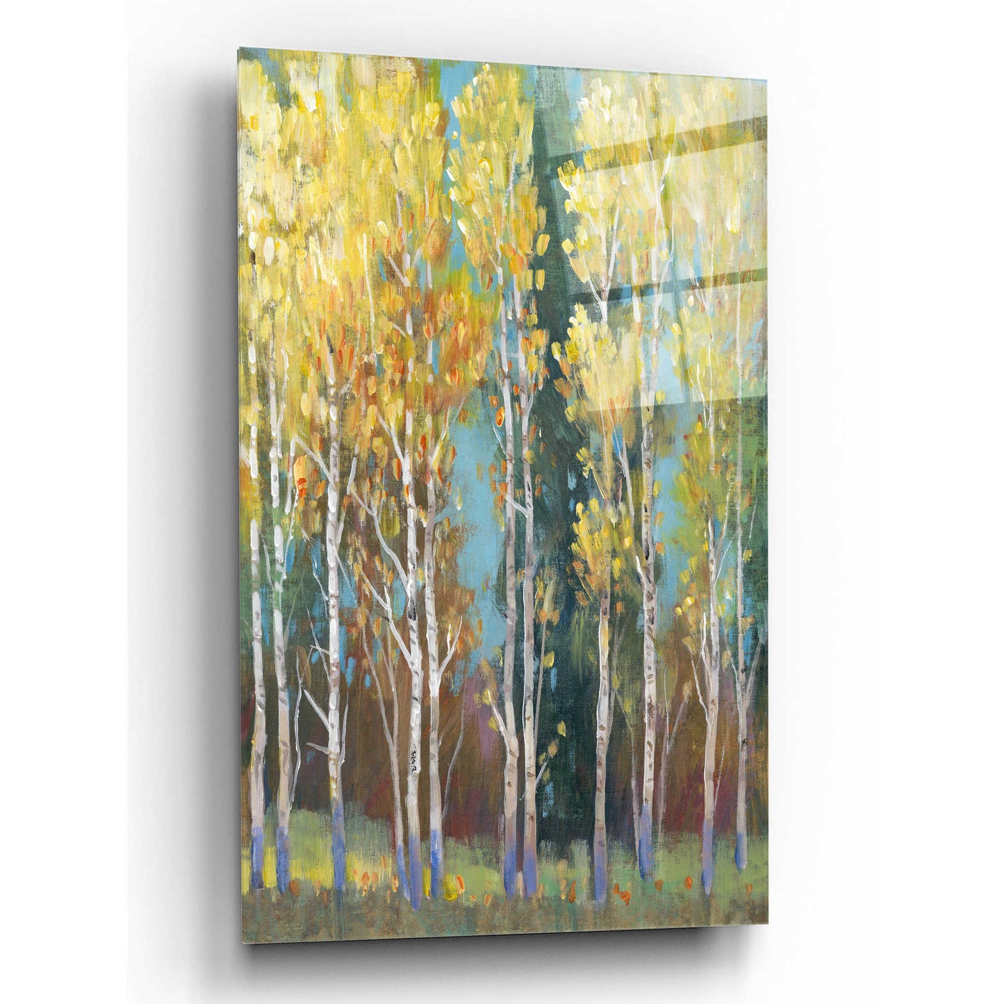 Epic Art 'Aspen Grove I' by Tim O'Toole, Acrylic Glass Wall Art