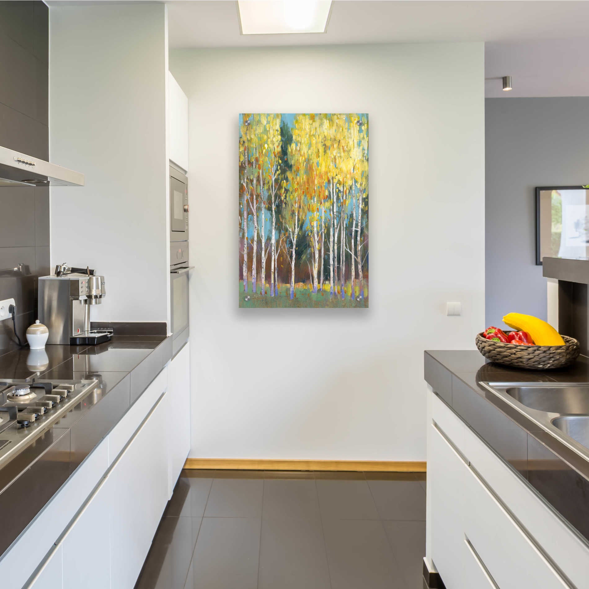 Epic Art 'Aspen Grove II' by Tim O'Toole, Acrylic Glass Wall Art,24x36