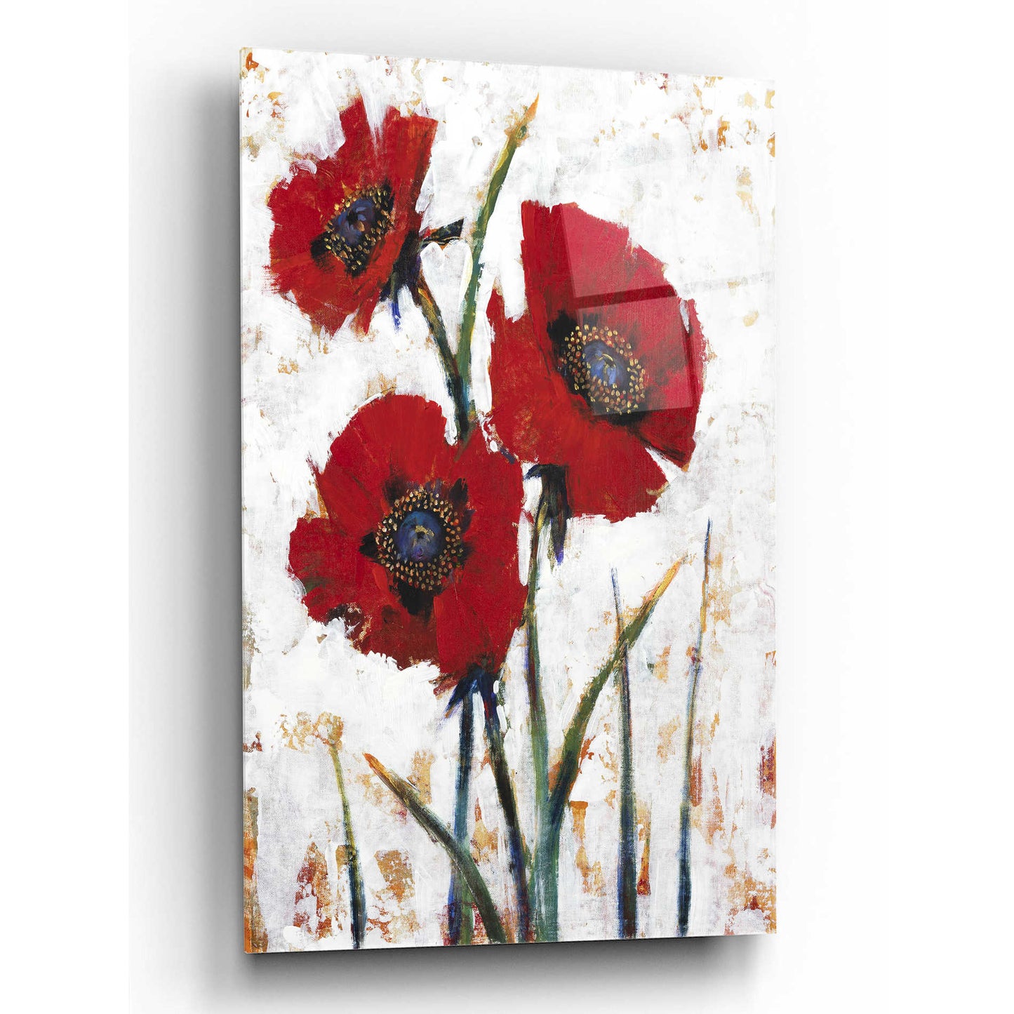 Epic Art 'Red Poppy Fresco I' by Tim O'Toole, Acrylic Glass Wall Art,12x16