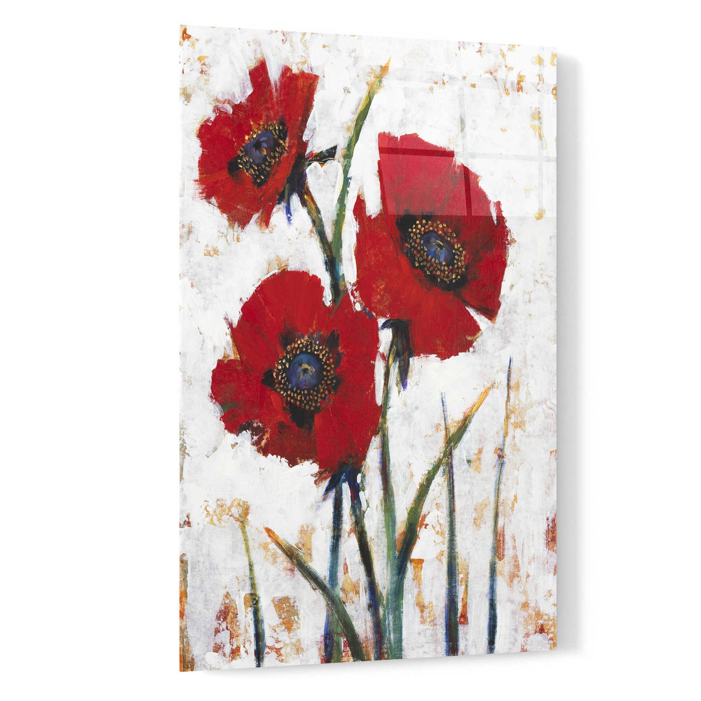 Epic Art 'Red Poppy Fresco I' by Tim O'Toole, Acrylic Glass Wall Art,16x24