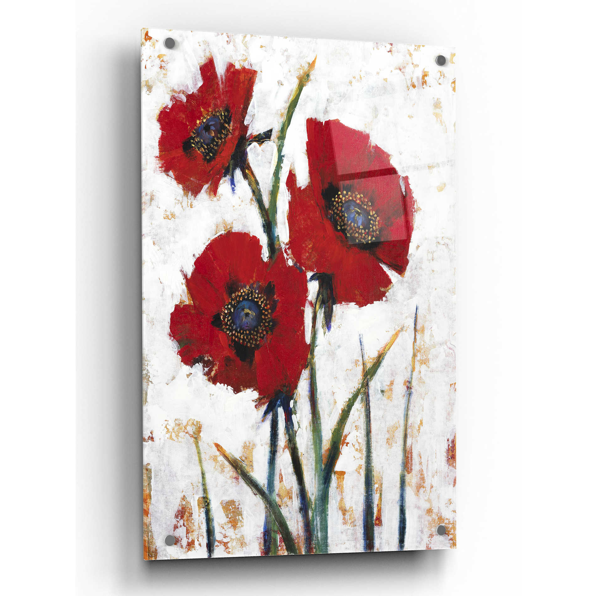 Epic Art 'Red Poppy Fresco I' by Tim O'Toole, Acrylic Glass Wall Art,24x36