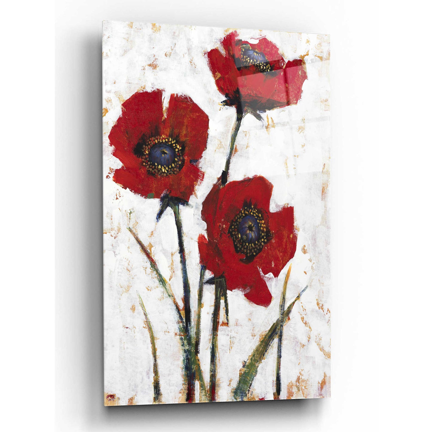 Epic Art 'Red Poppy Fresco II' by Tim O'Toole, Acrylic Glass Wall Art,12x16