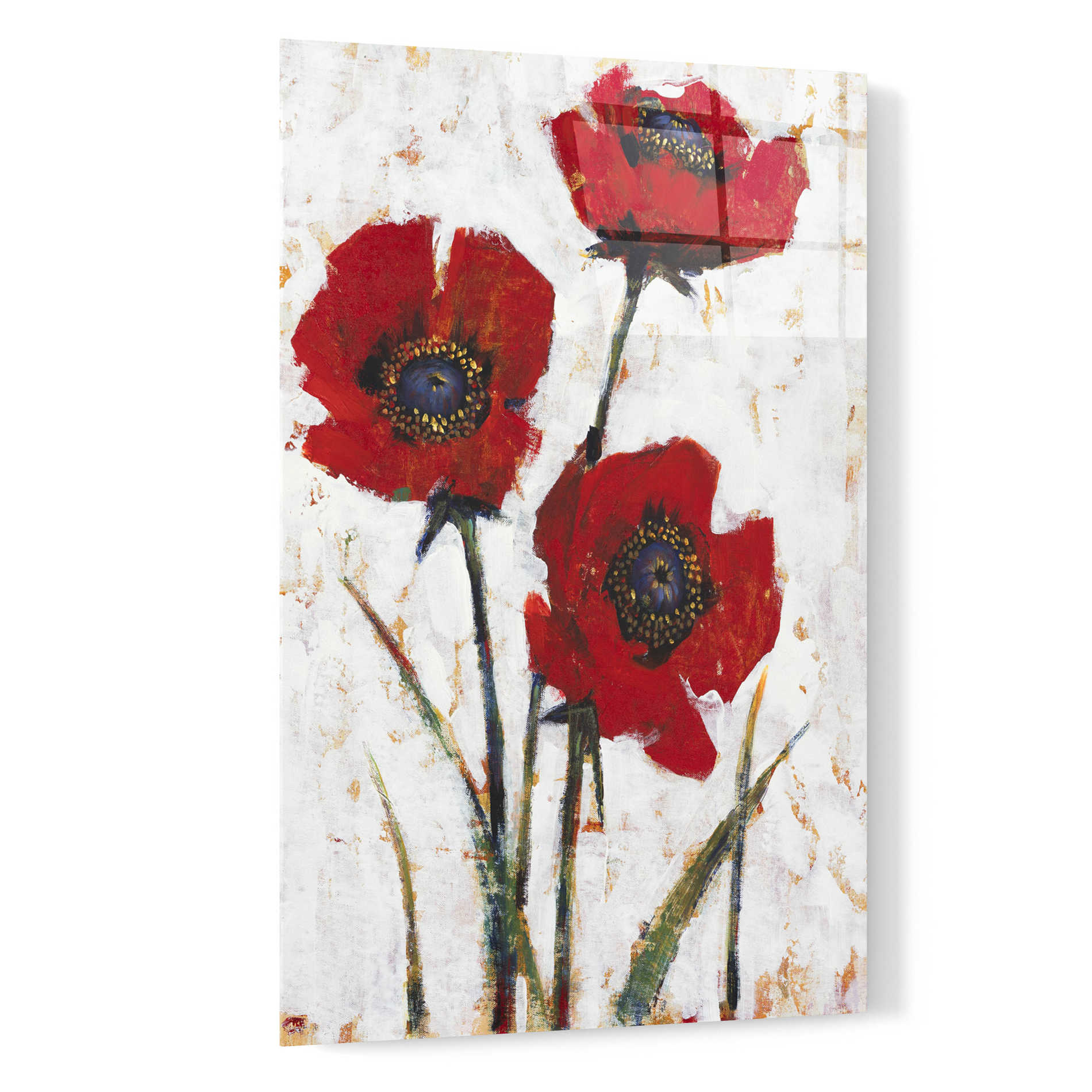 Epic Art 'Red Poppy Fresco II' by Tim O'Toole, Acrylic Glass Wall Art,16x24