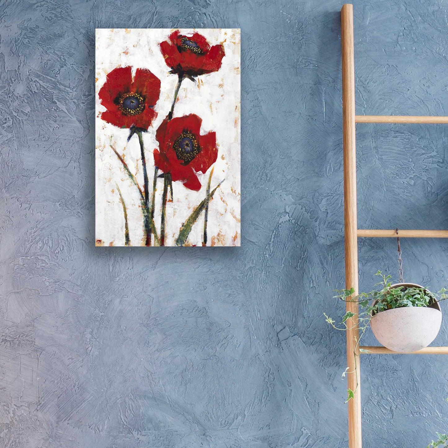 Epic Art 'Red Poppy Fresco II' by Tim O'Toole, Acrylic Glass Wall Art,16x24