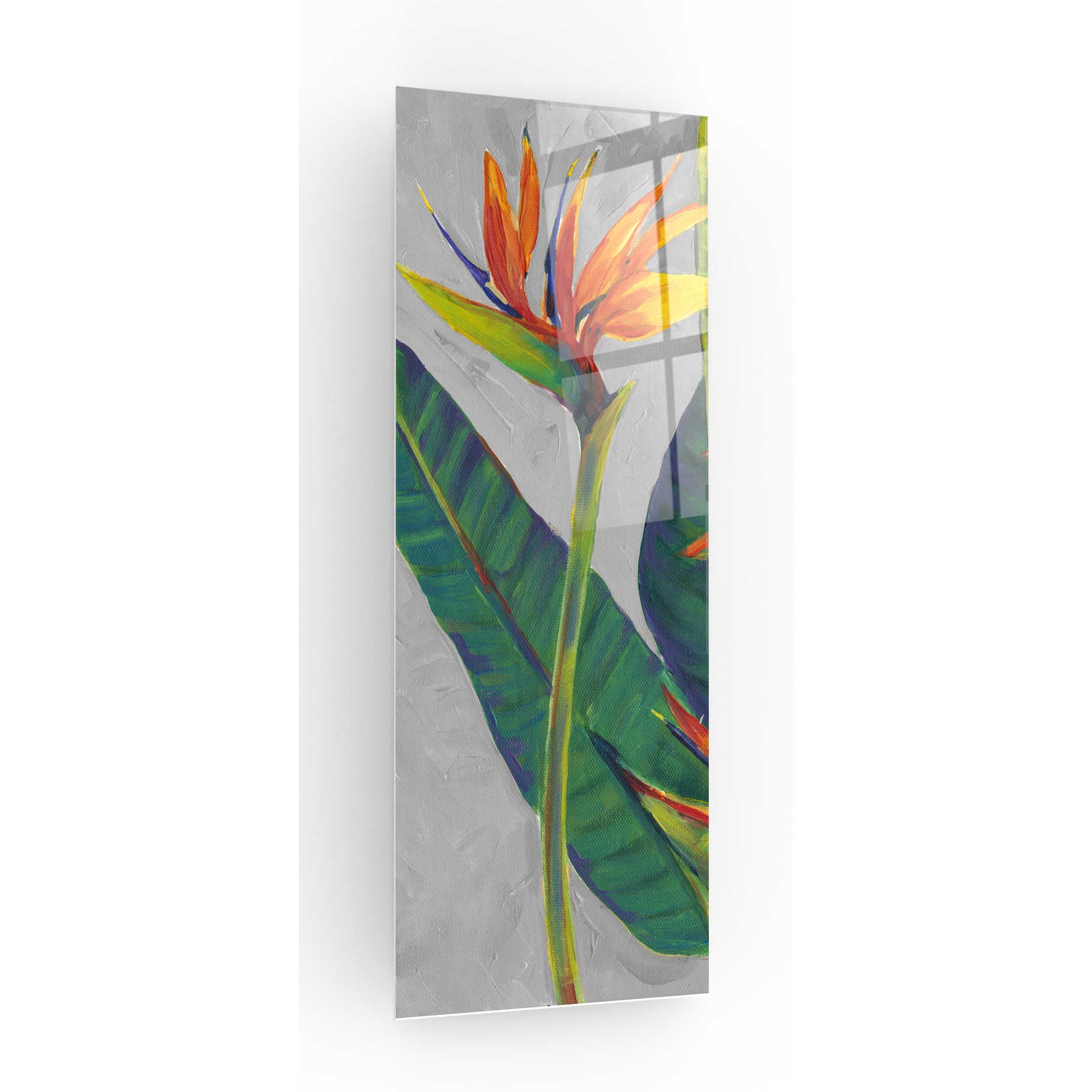 Epic Art 'Bird of Paradise Triptych I' by Tim O'Toole, Acrylic Glass Wall Art,12x36