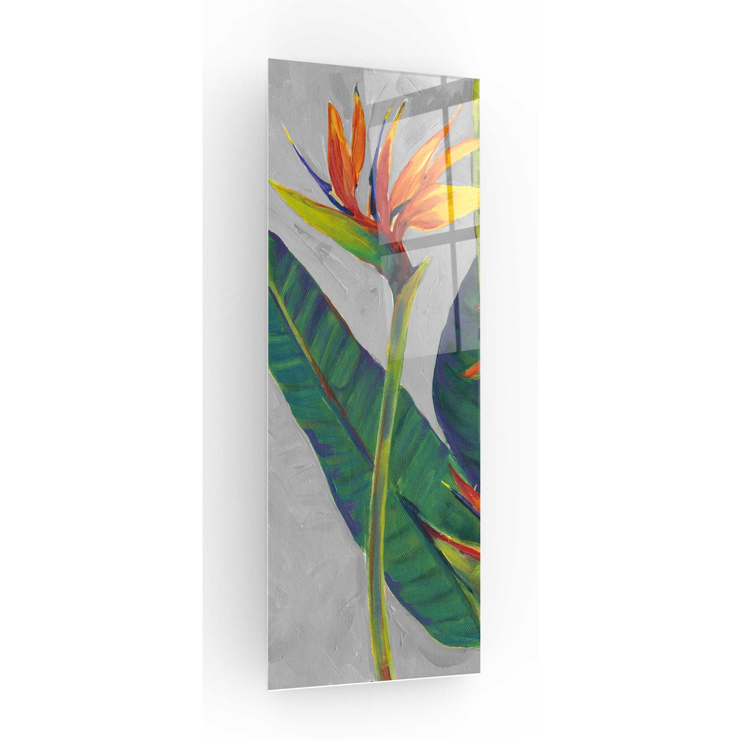 Epic Art 'Bird of Paradise Triptych I' by Tim O'Toole, Acrylic Glass Wall Art,16x48