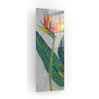 Epic Art 'Bird of Paradise Triptych I' by Tim O'Toole, Acrylic Glass Wall Art,3:1