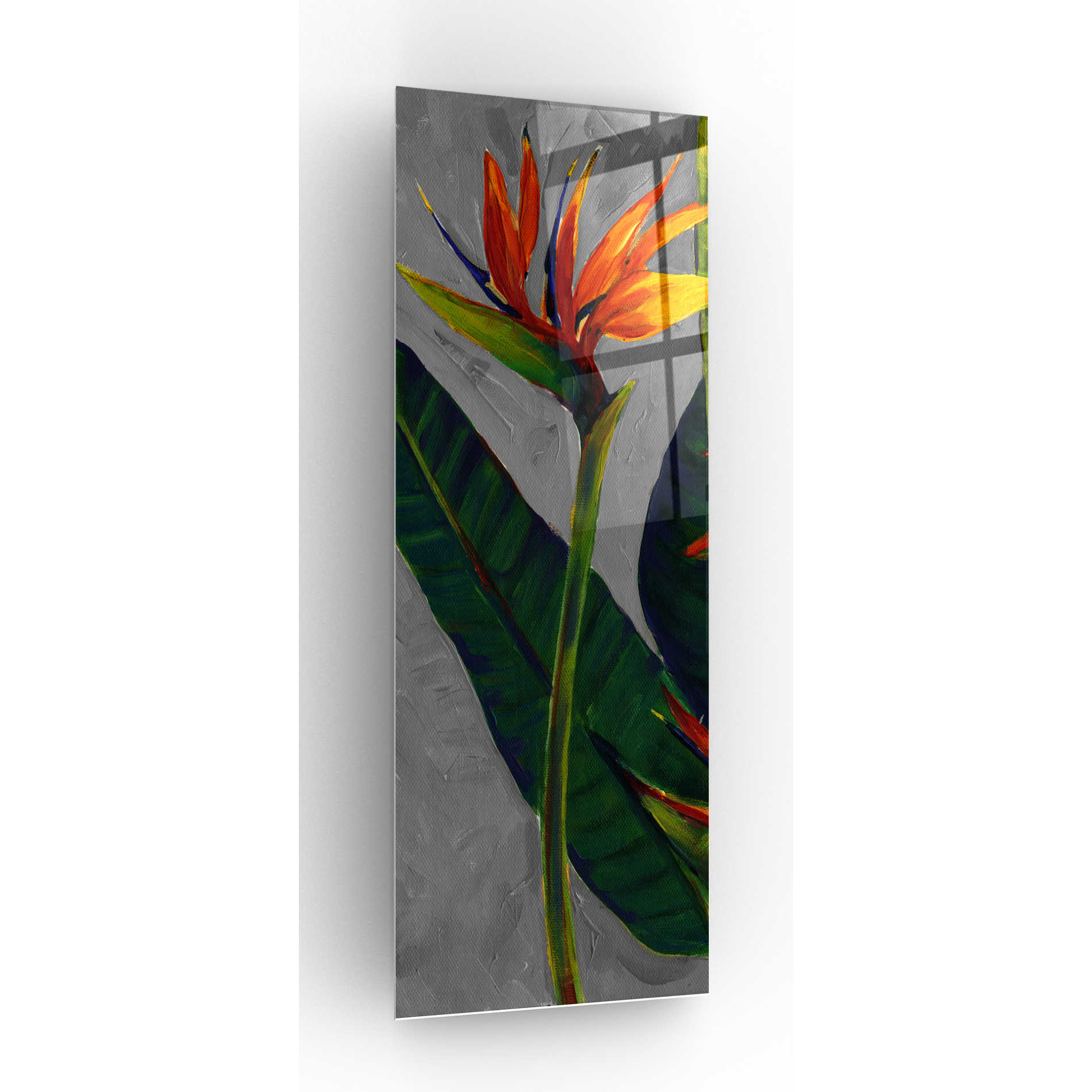 Epic Art 'Bird of Paradise Triptych I' by Tim O'Toole, Acrylic Glass Wall Art,3:1