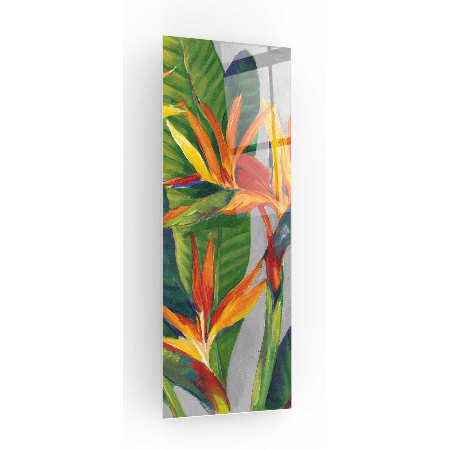 Epic Art 'Bird of Paradise Triptych II' by Tim O'Toole, Acrylic Glass Wall Art,12x36