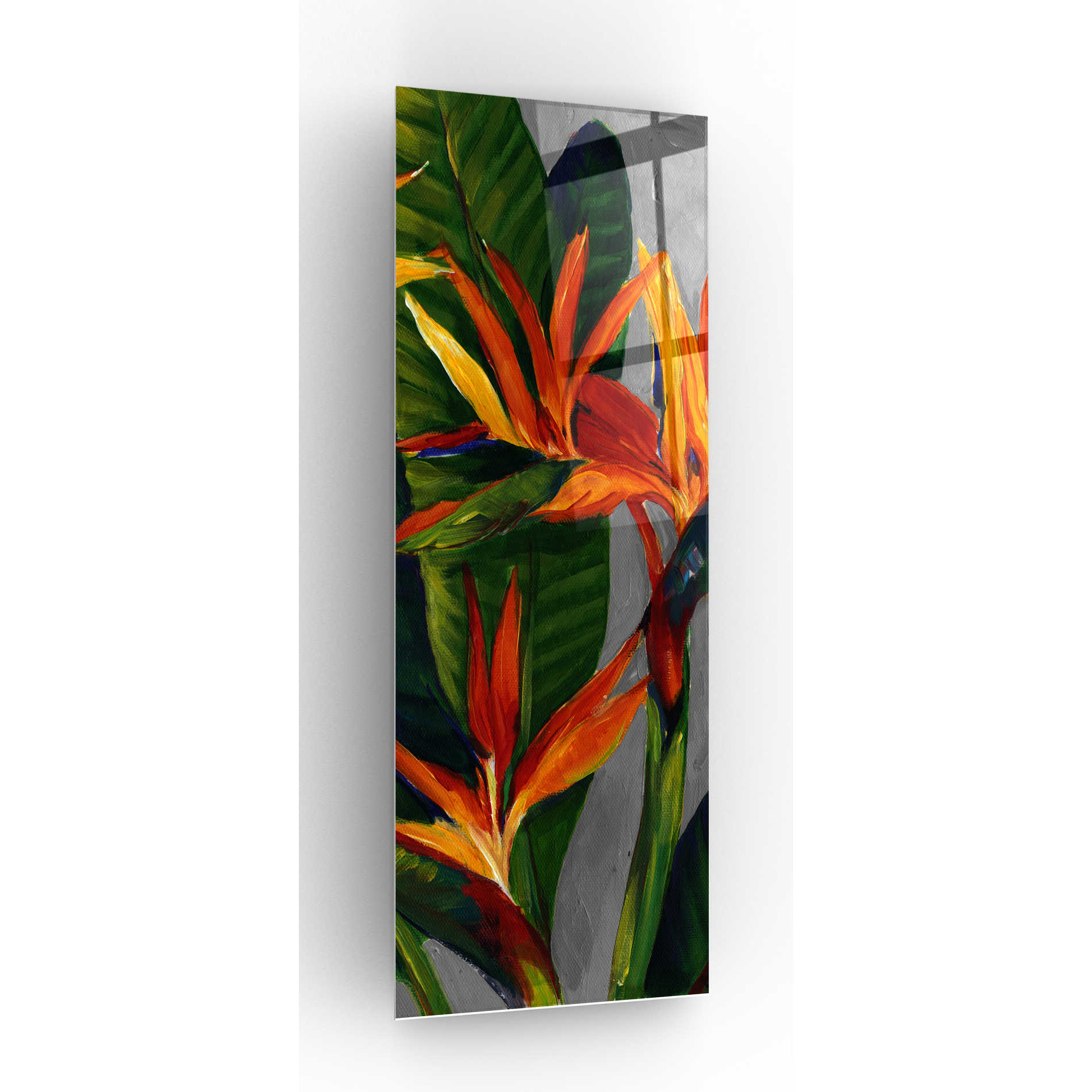 Epic Art 'Bird of Paradise Triptych II' by Tim O'Toole, Acrylic Glass Wall Art,3:1