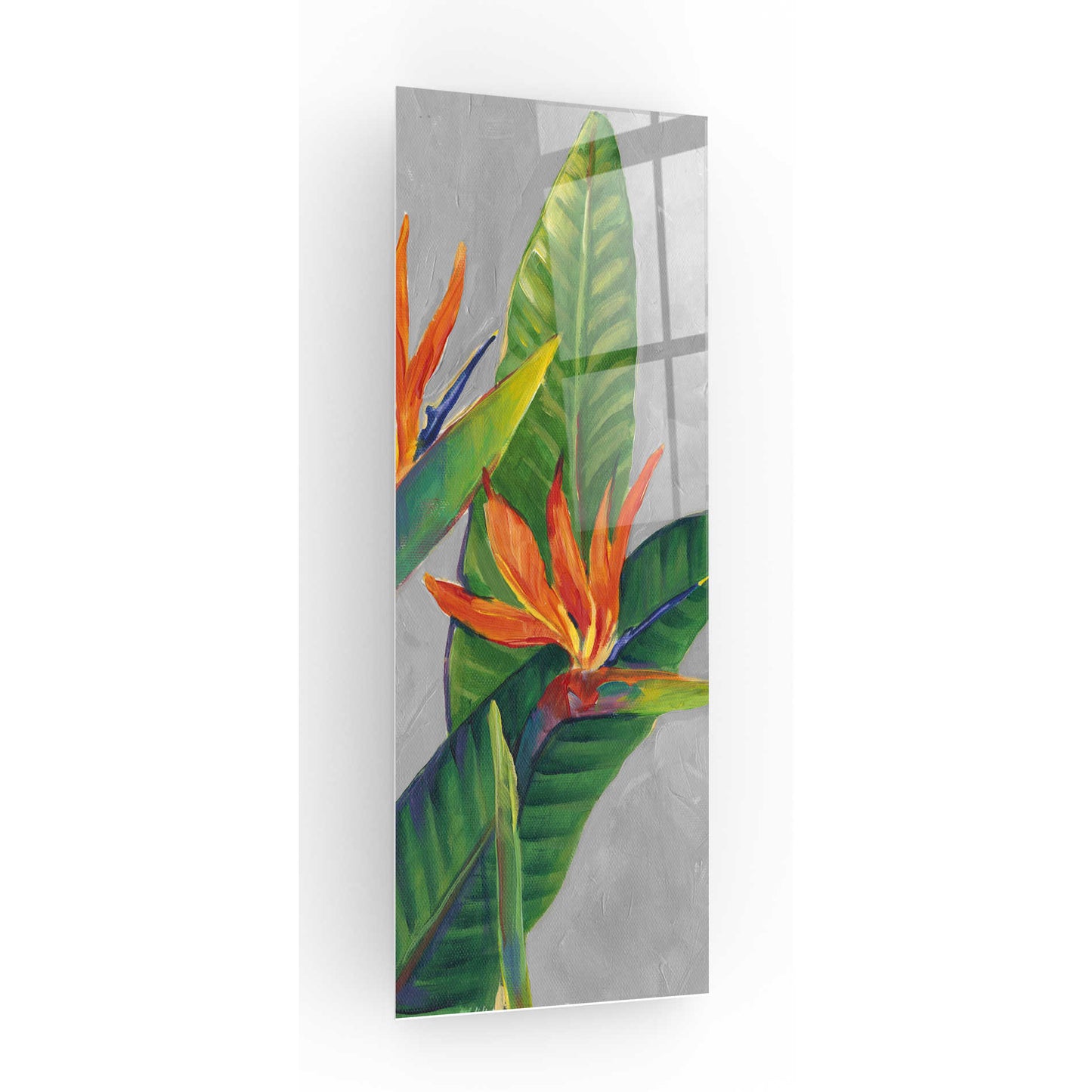 Epic Art 'Bird of Paradise Triptych III' by Tim O'Toole, Acrylic Glass Wall Art,12x36