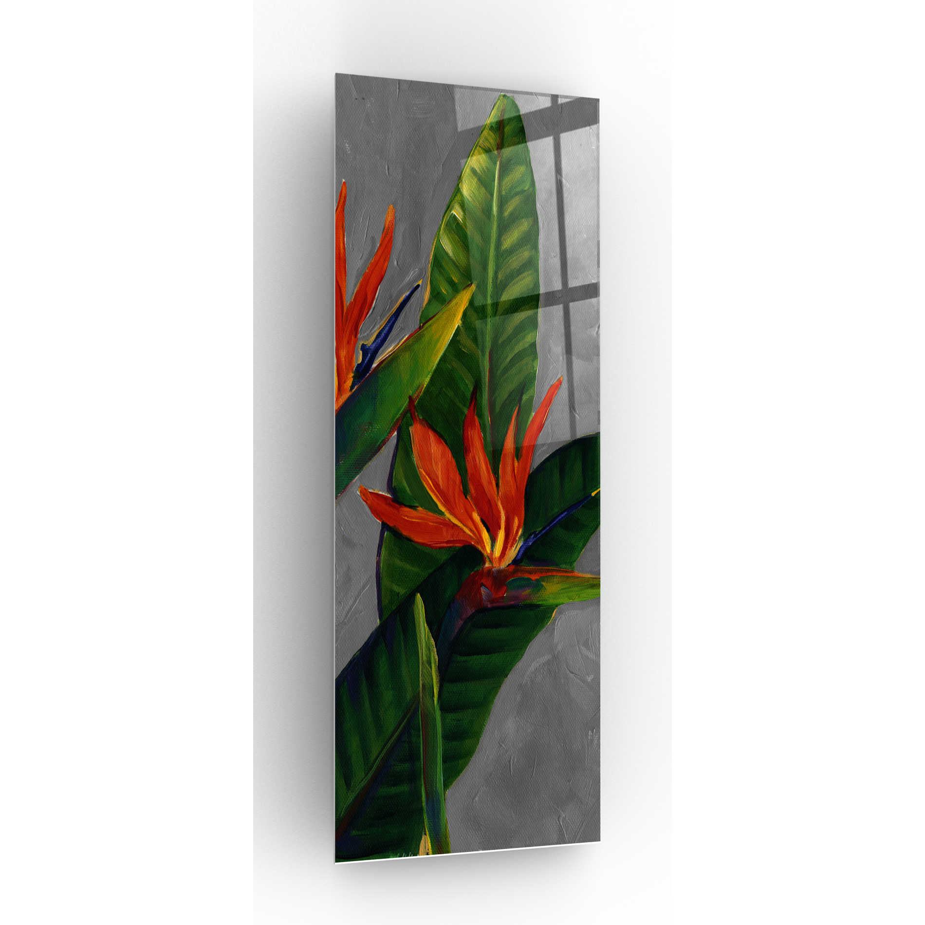 Epic Art 'Bird of Paradise Triptych III' by Tim O'Toole, Acrylic Glass Wall Art,3:1