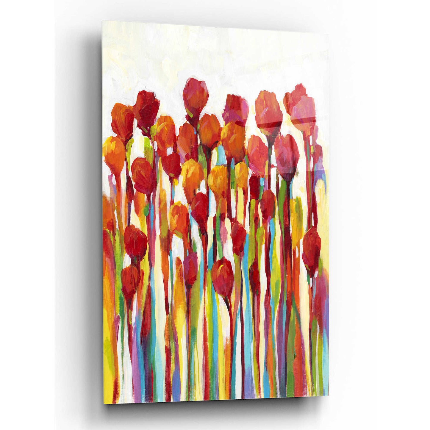 Epic Art 'Bursting with Color I' by Tim O'Toole, Acrylic Glass Wall Art,12x16