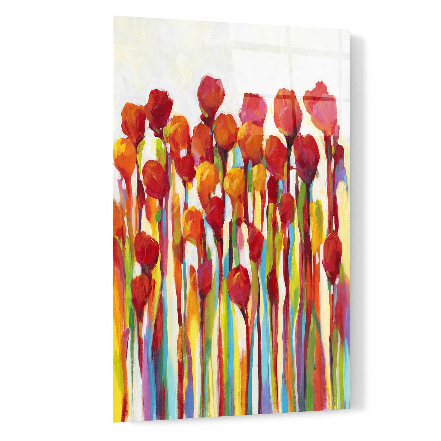 Epic Art 'Bursting with Color I' by Tim O'Toole, Acrylic Glass Wall Art,16x24