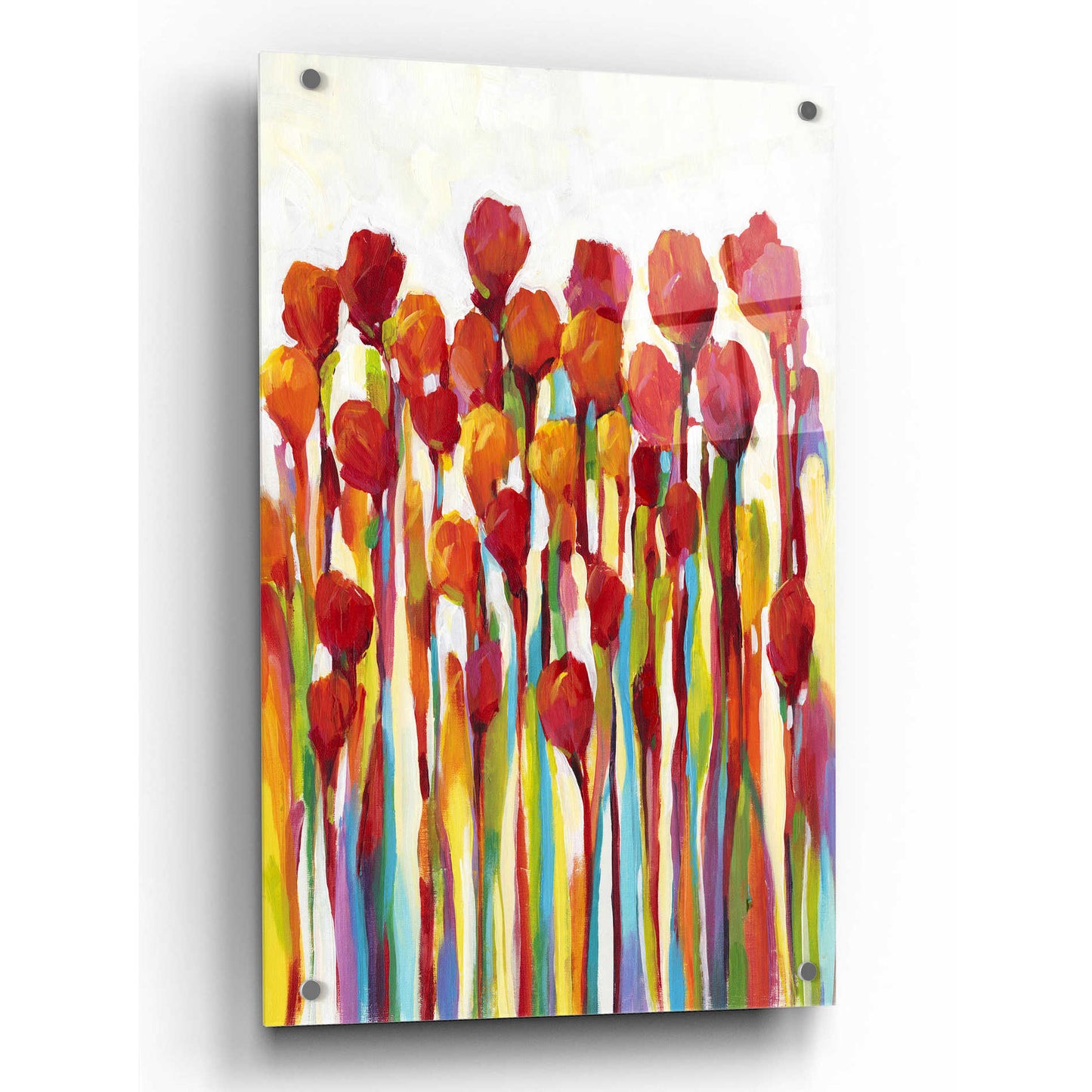 Epic Art 'Bursting with Color I' by Tim O'Toole, Acrylic Glass Wall Art,24x36