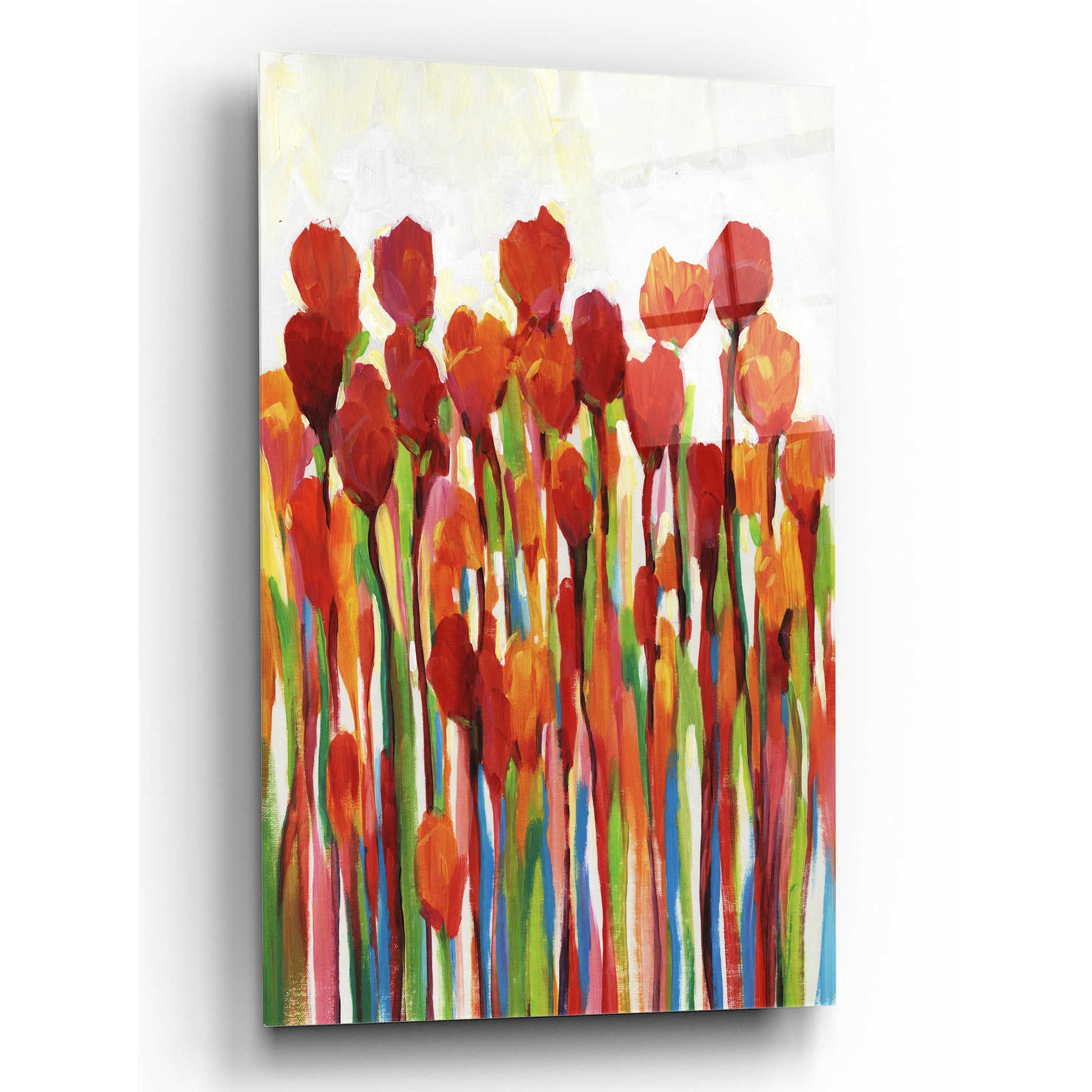 Epic Art 'Bursting with Color II' by Tim O'Toole, Acrylic Glass Wall Art,12x16