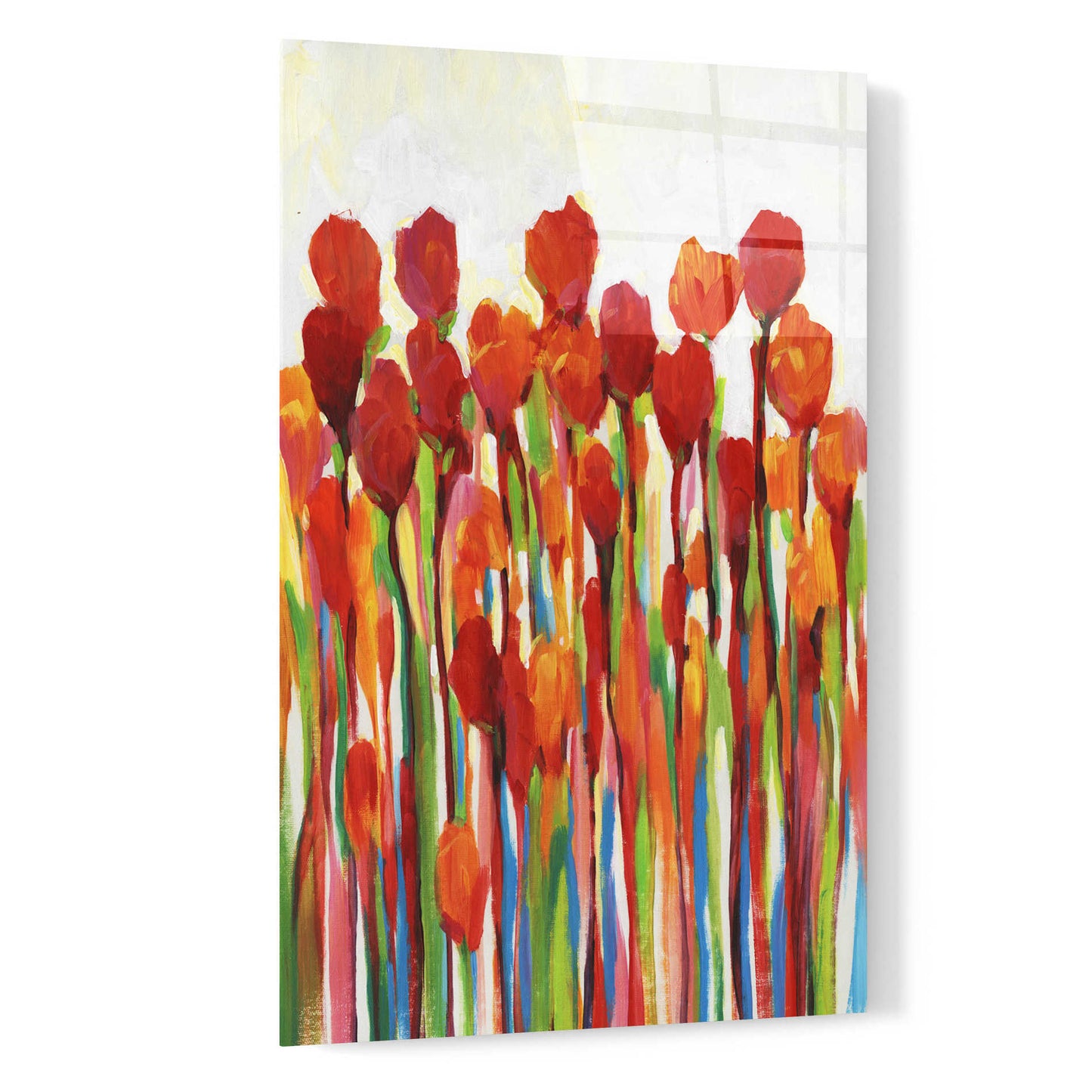 Epic Art 'Bursting with Color II' by Tim O'Toole, Acrylic Glass Wall Art,16x24