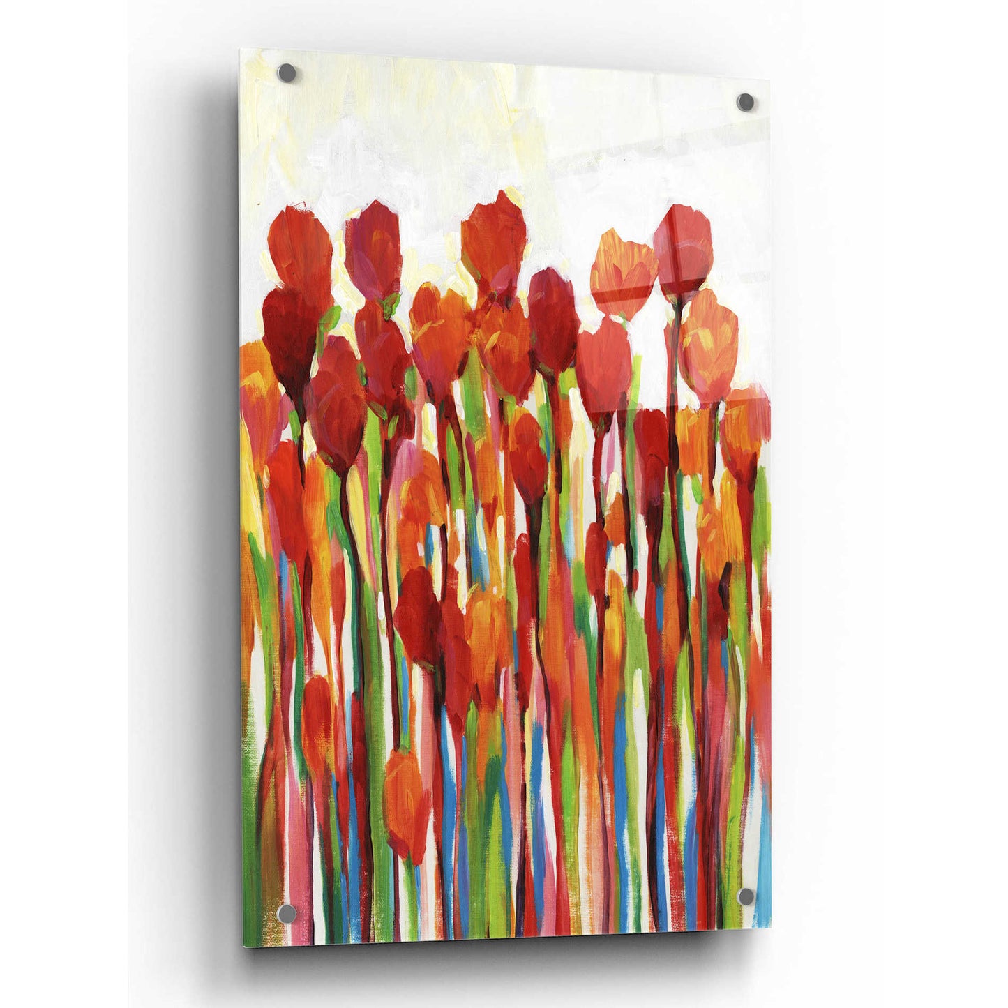 Epic Art 'Bursting with Color II' by Tim O'Toole, Acrylic Glass Wall Art,24x36
