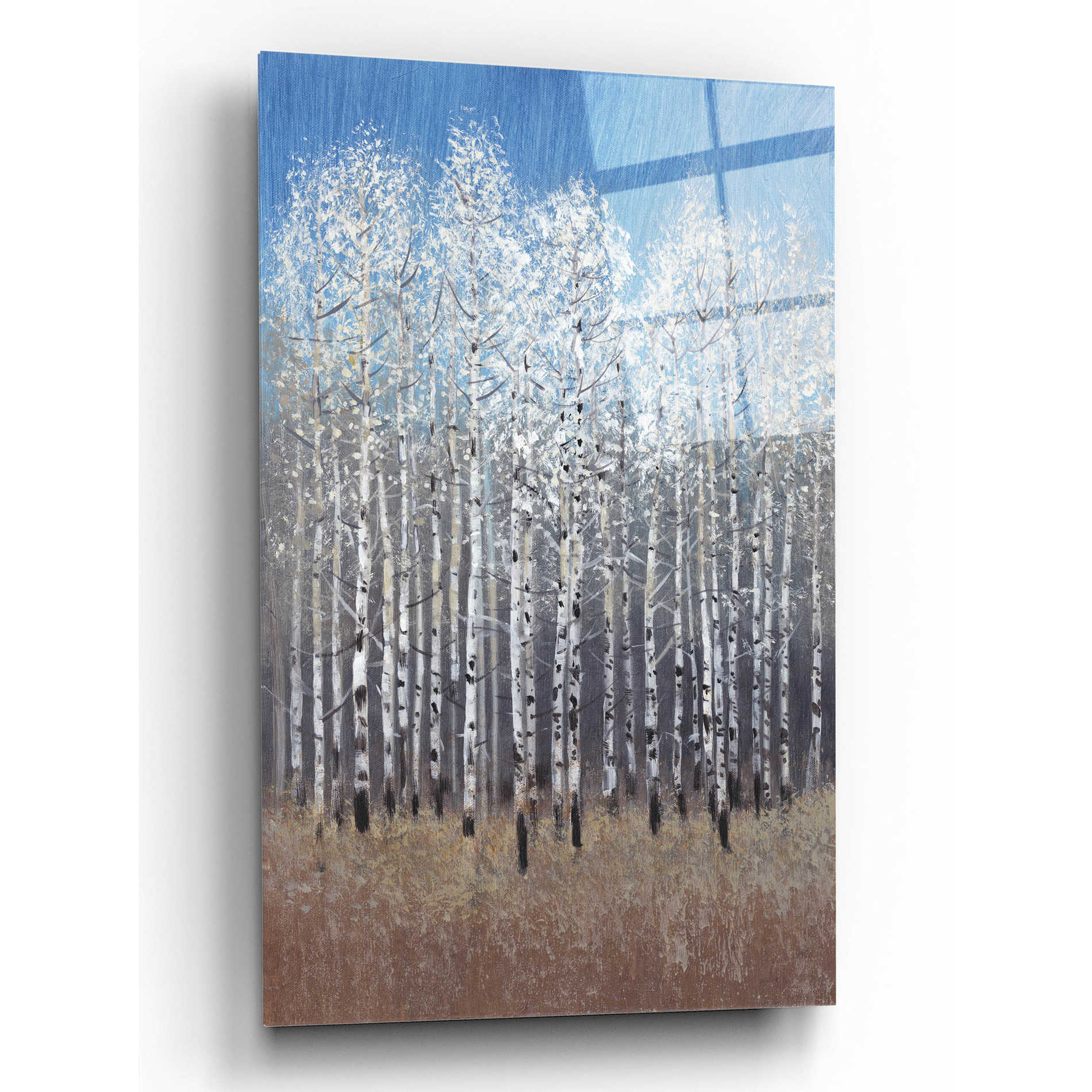 Epic Art 'Cobalt Birches I' by Tim O'Toole, Acrylic Glass Wall Art,12x16