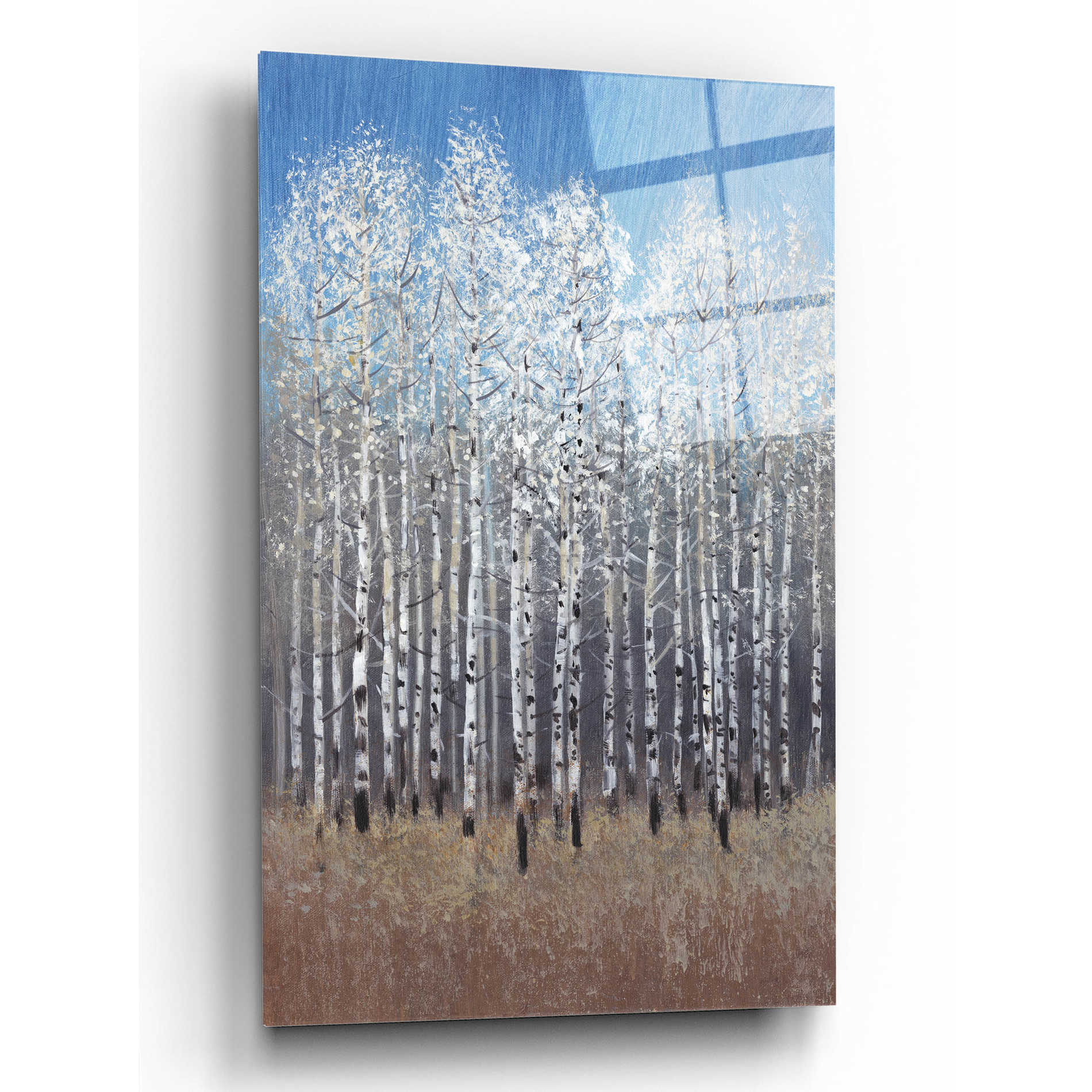 Epic Art 'Cobalt Birches I' by Tim O'Toole, Acrylic Glass Wall Art,16x24