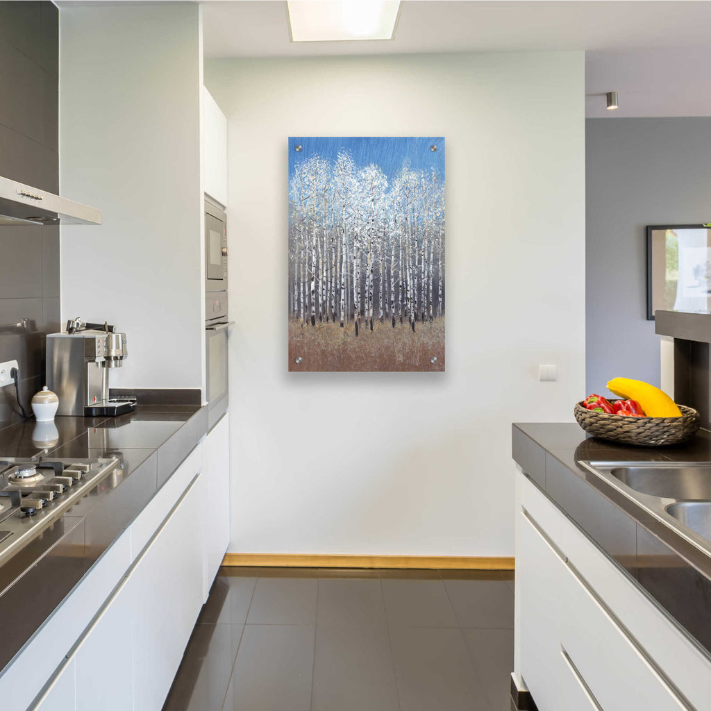 Epic Art 'Cobalt Birches I' by Tim O'Toole, Acrylic Glass Wall Art,24x36