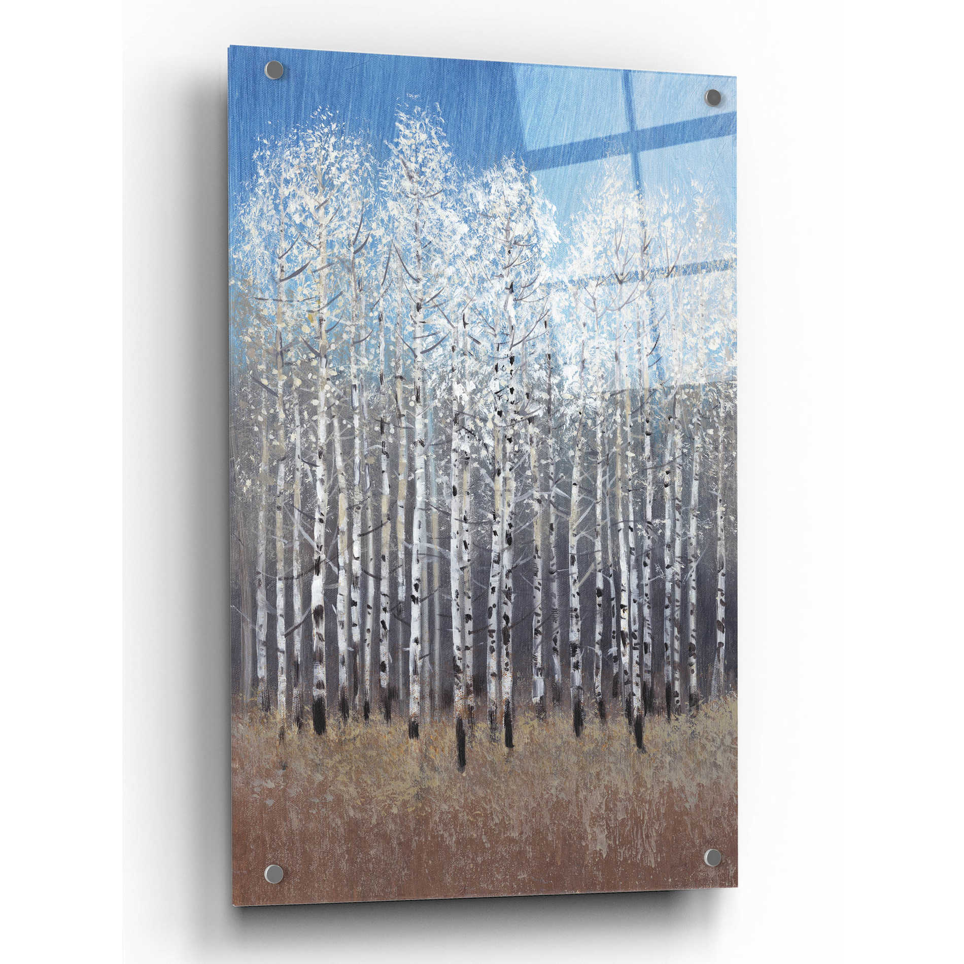 Epic Art 'Cobalt Birches I' by Tim O'Toole, Acrylic Glass Wall Art,24x36