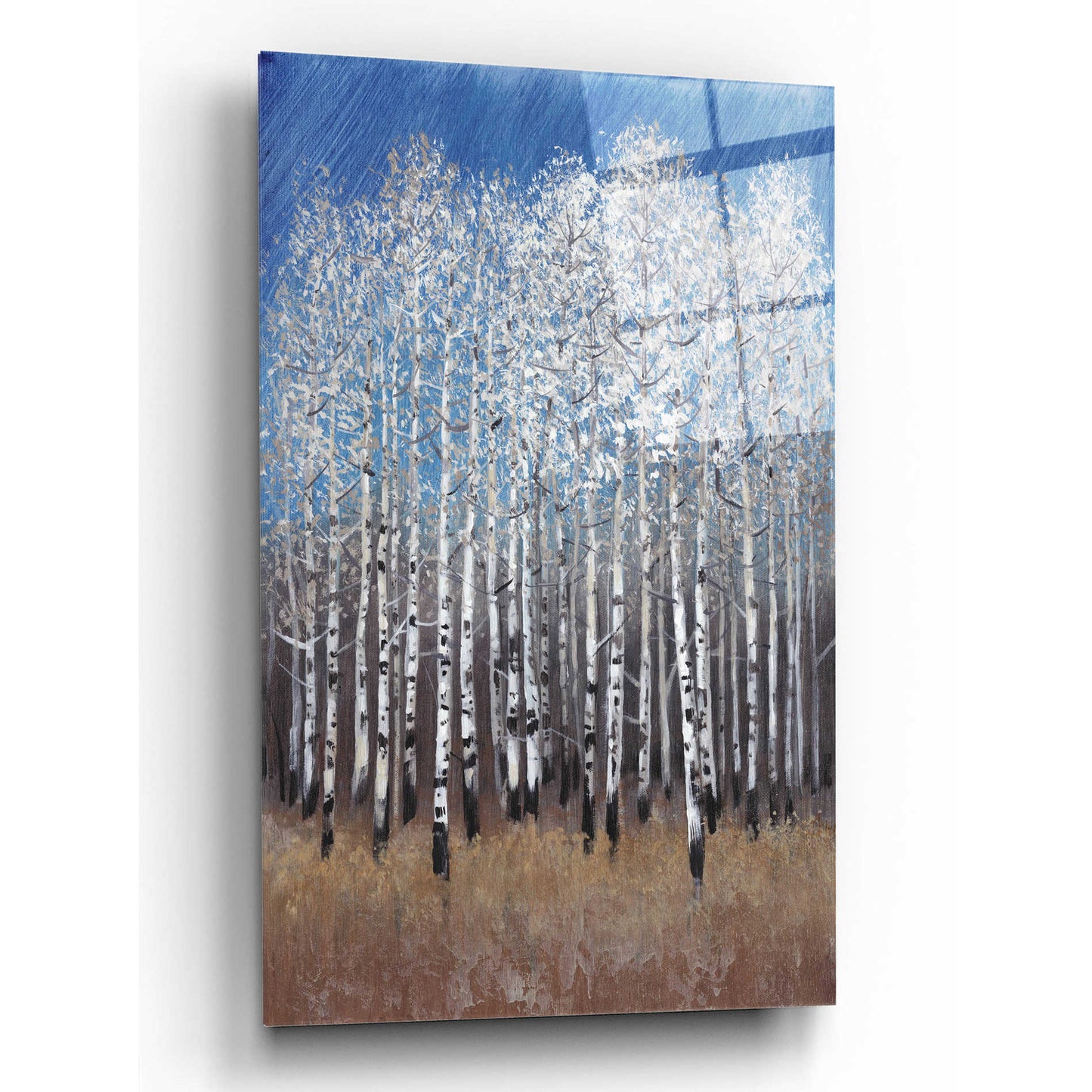Epic Art 'Cobalt Birches II' by Tim O'Toole, Acrylic Glass Wall Art,12x16