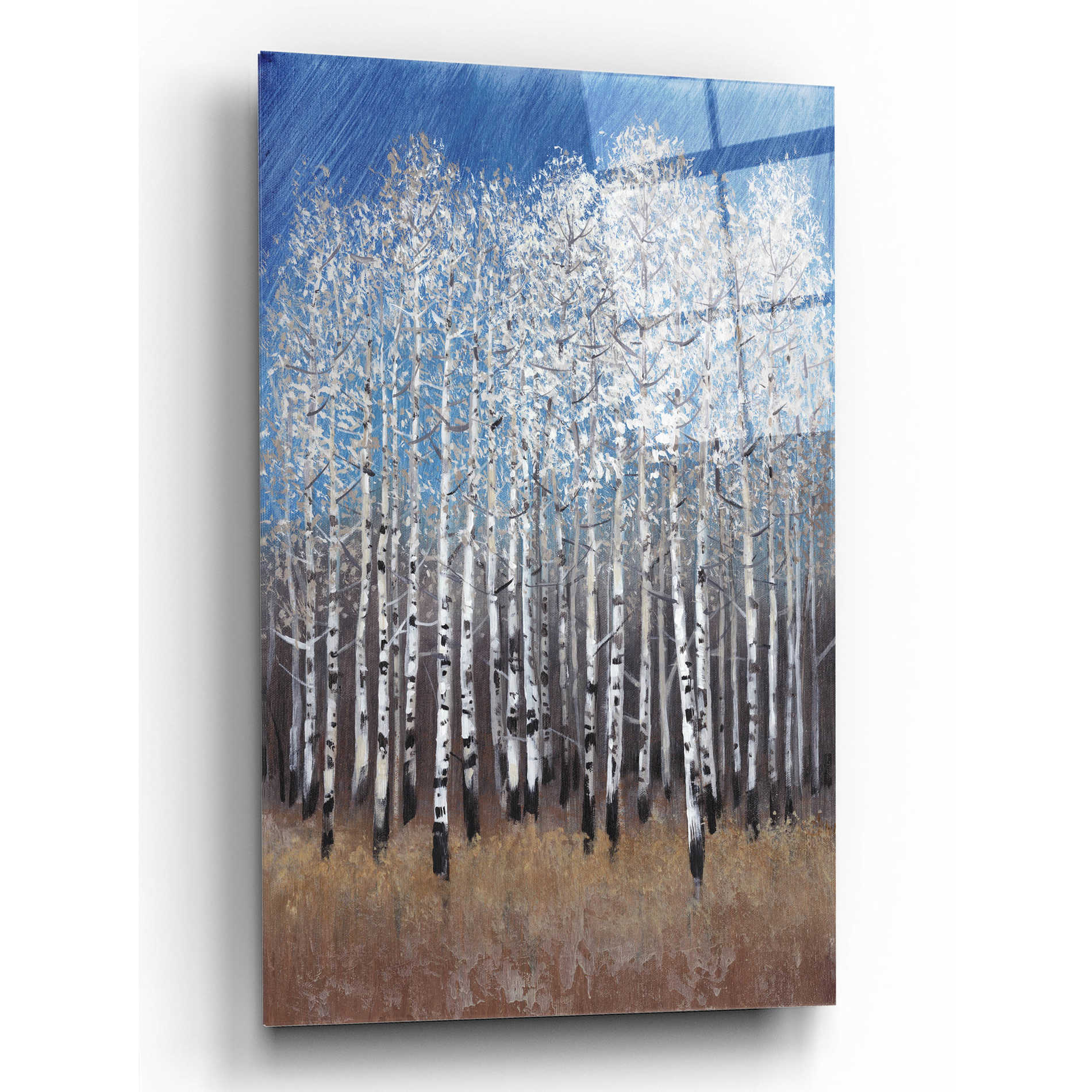 Epic Art 'Cobalt Birches II' by Tim O'Toole, Acrylic Glass Wall Art,12x16