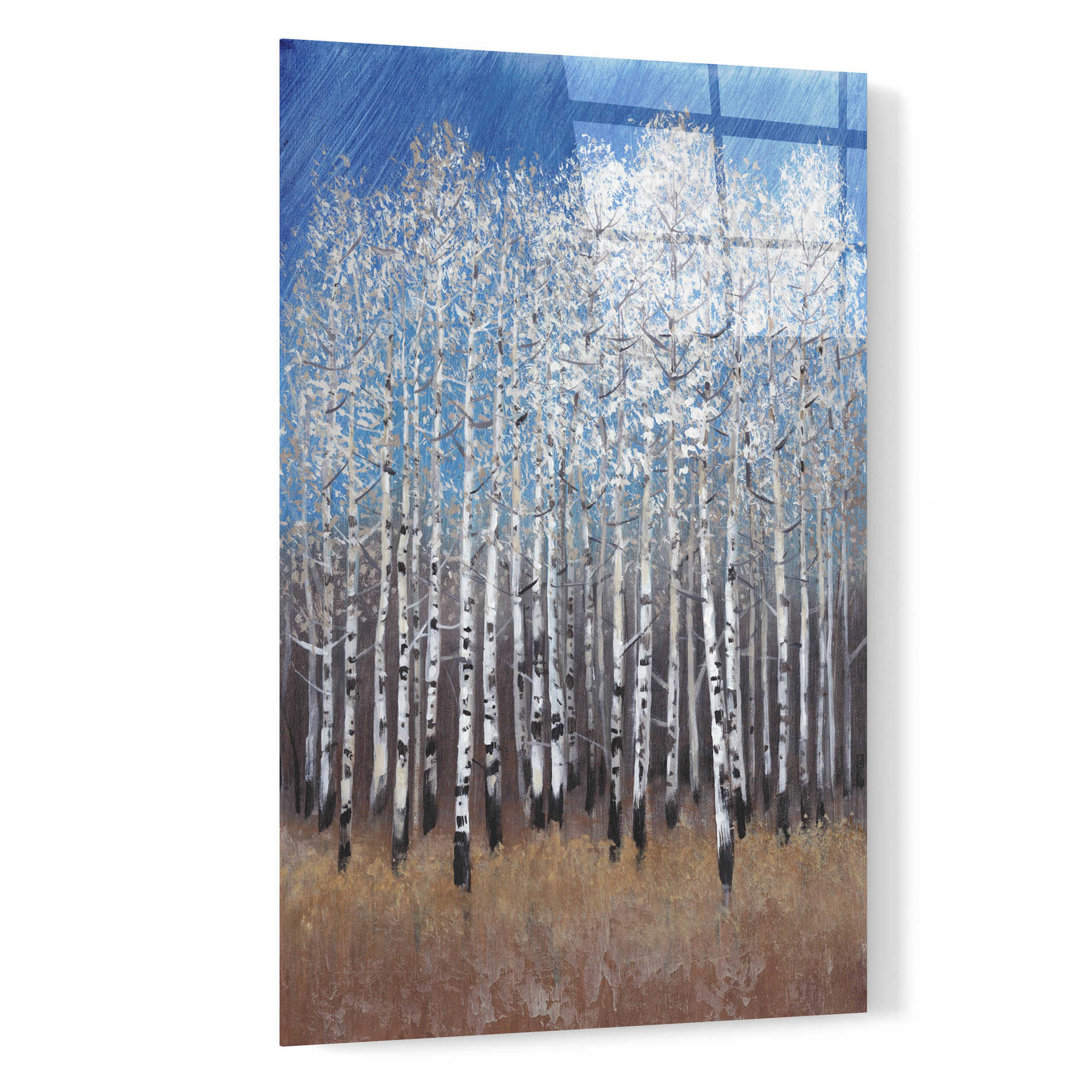 Epic Art 'Cobalt Birches II' by Tim O'Toole, Acrylic Glass Wall Art,16x24