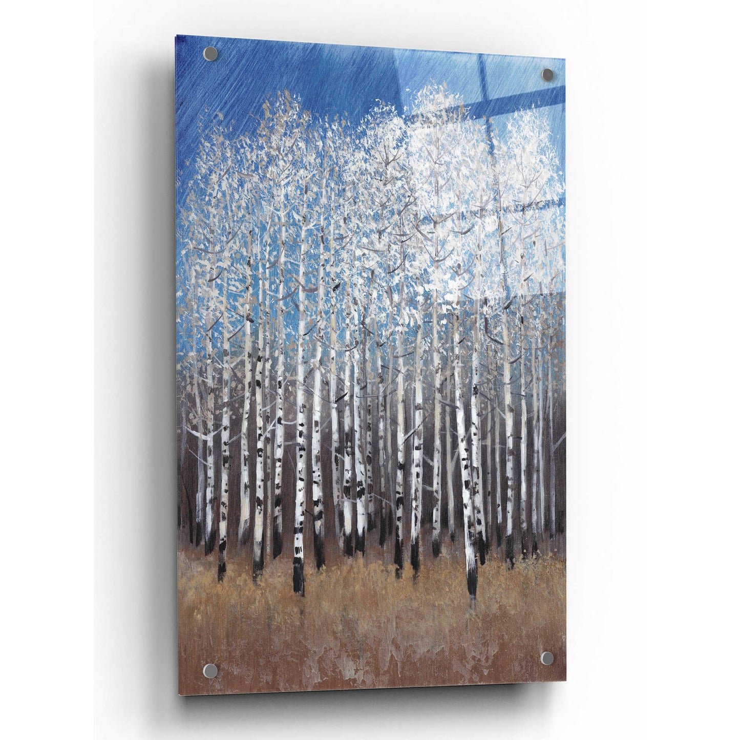 Epic Art 'Cobalt Birches II' by Tim O'Toole, Acrylic Glass Wall Art,24x36